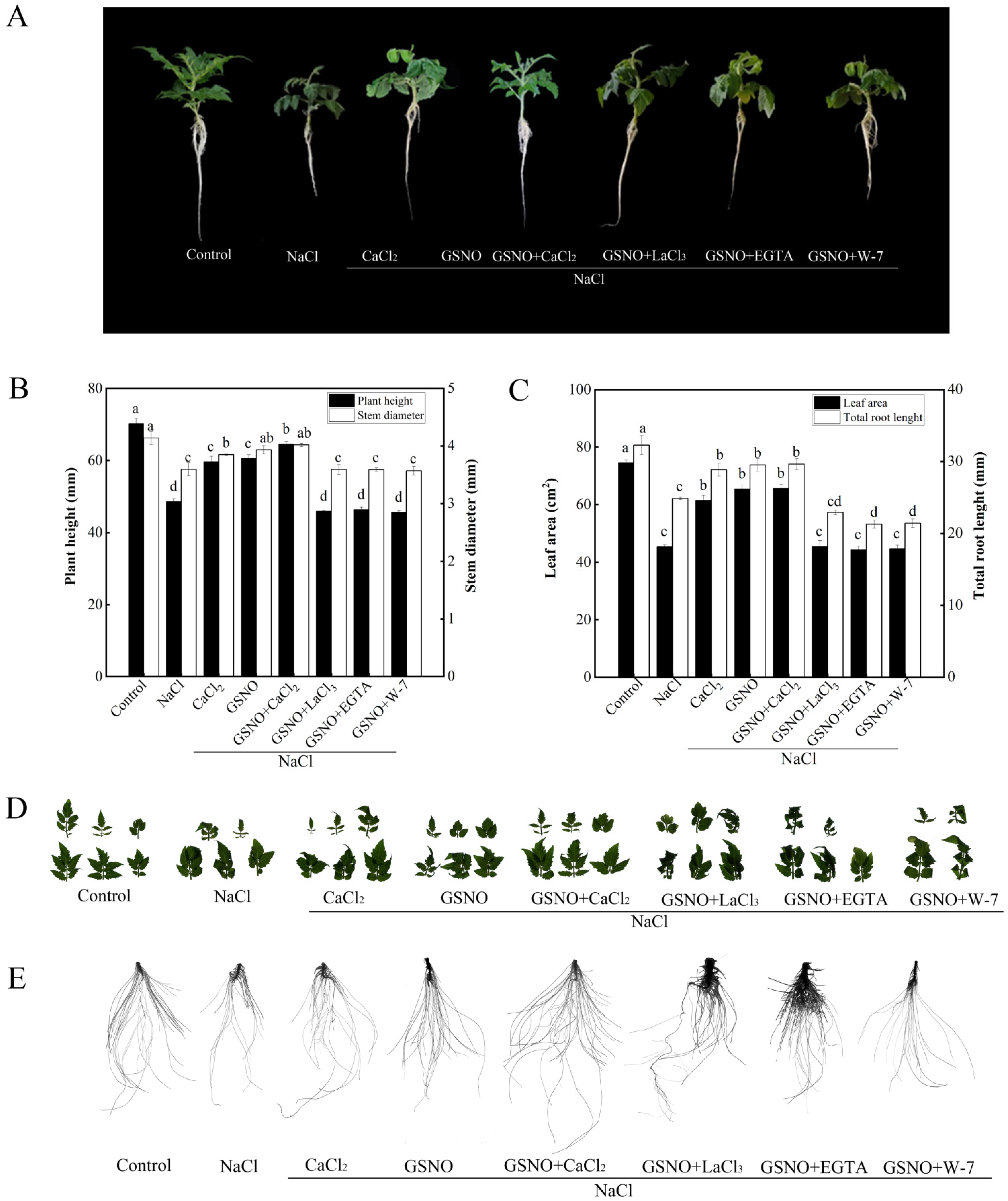 Plants 11 02479 g002 Plants 11 02479 g002
