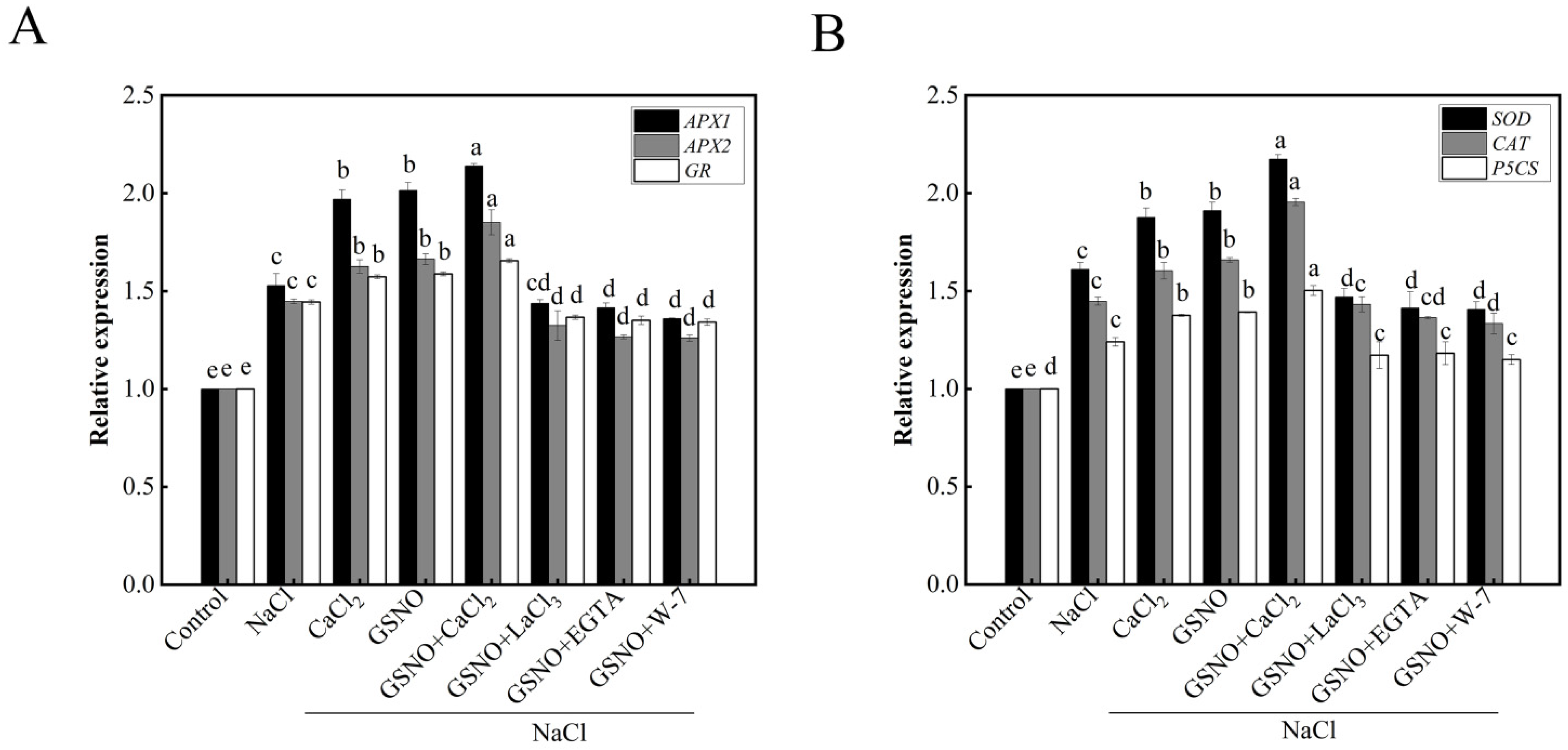 Plants 11 02479 g006 Plants 11 02479 g006