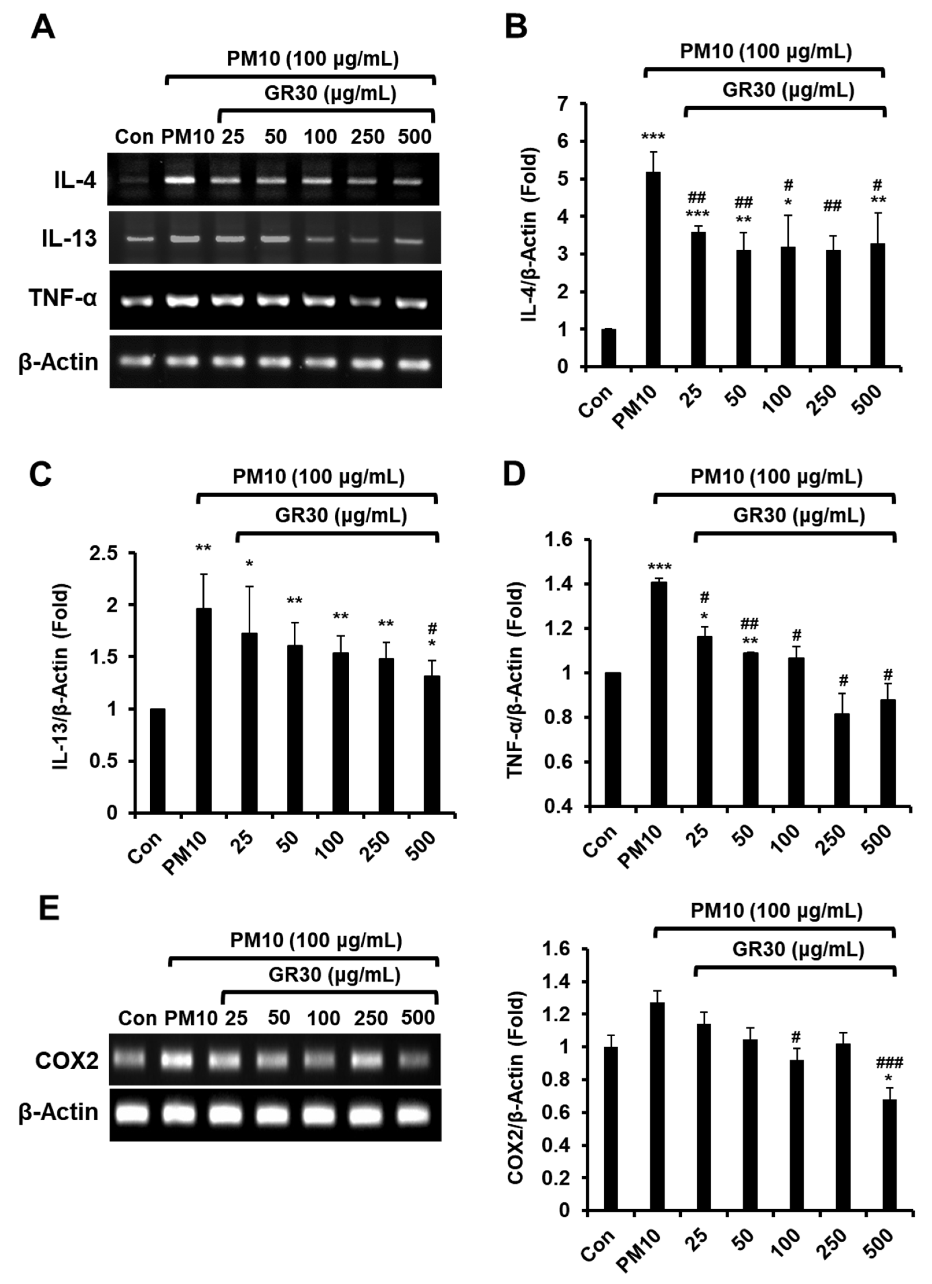Anti-Apoptotic and Anti-Inflammatory Effects of an Ethanolic