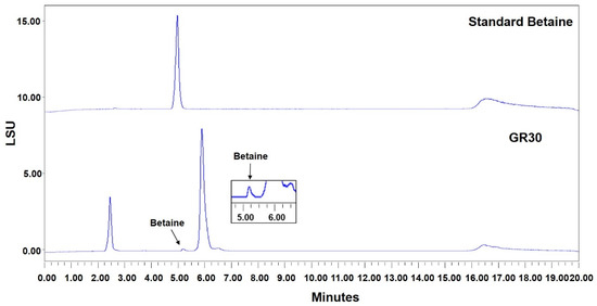 Figure 5 from Hepatoprotective effects of Lycium chinense Miller fruit and  its constituent betaine in CCl4-induced hepatic damage in rats.