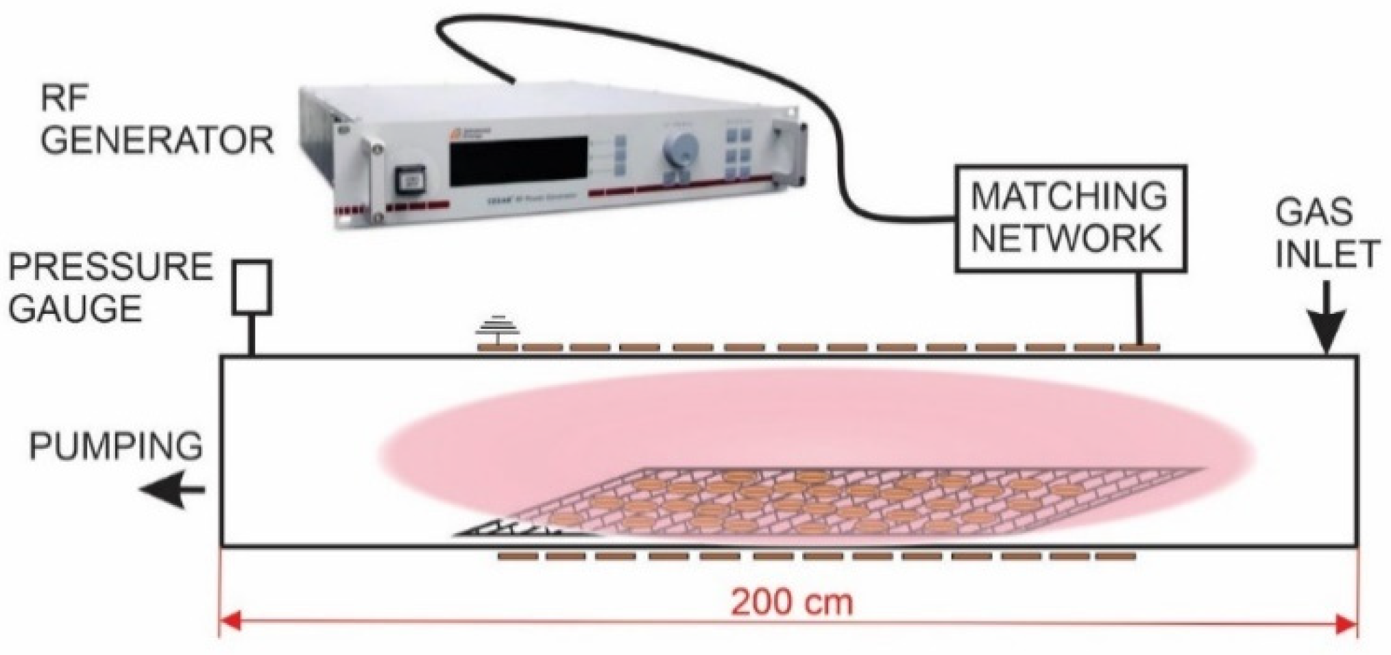 Plants 11 02489 g006 Plants 11 02489 g006