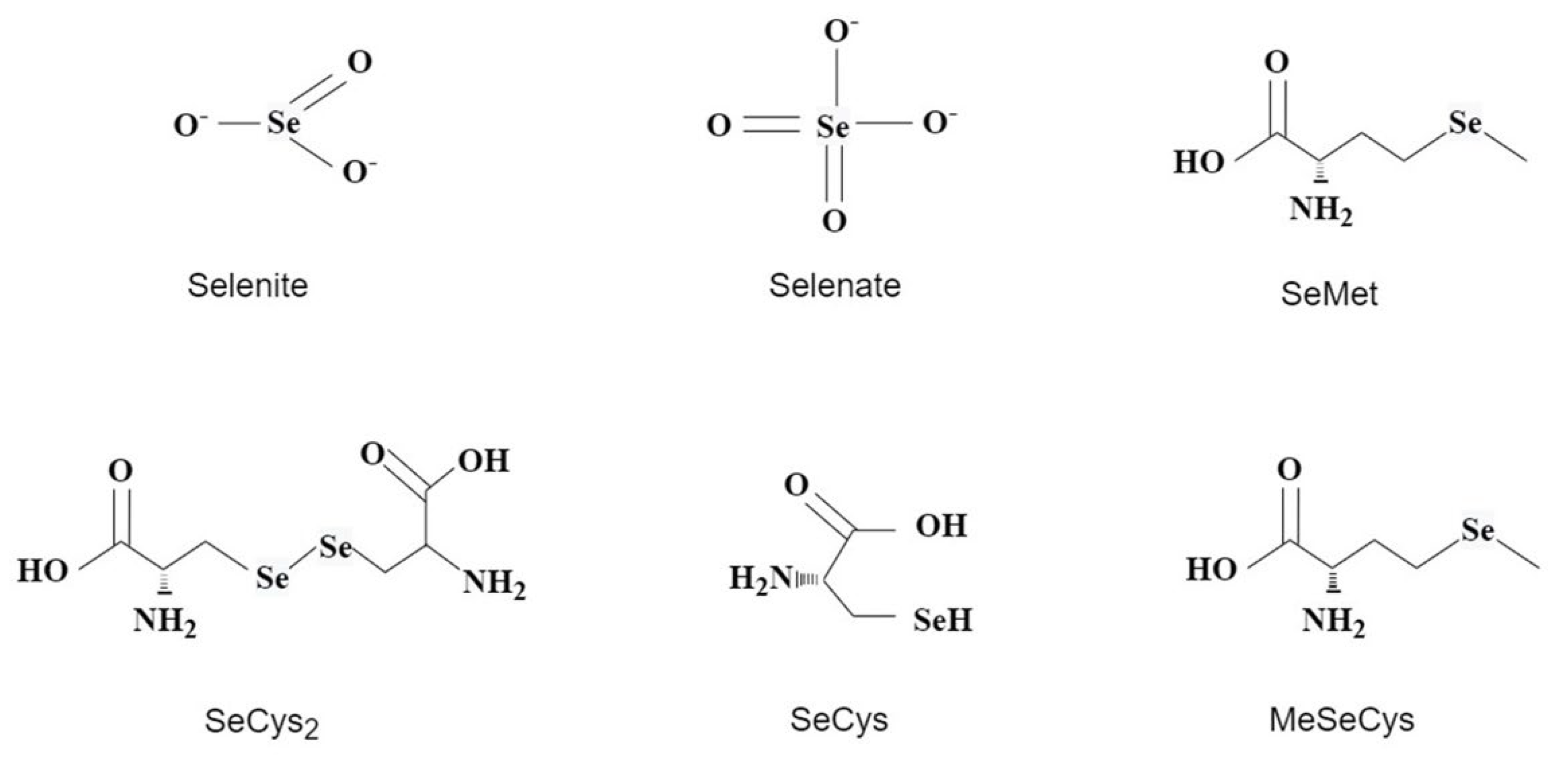 Plants 11 02491 g002