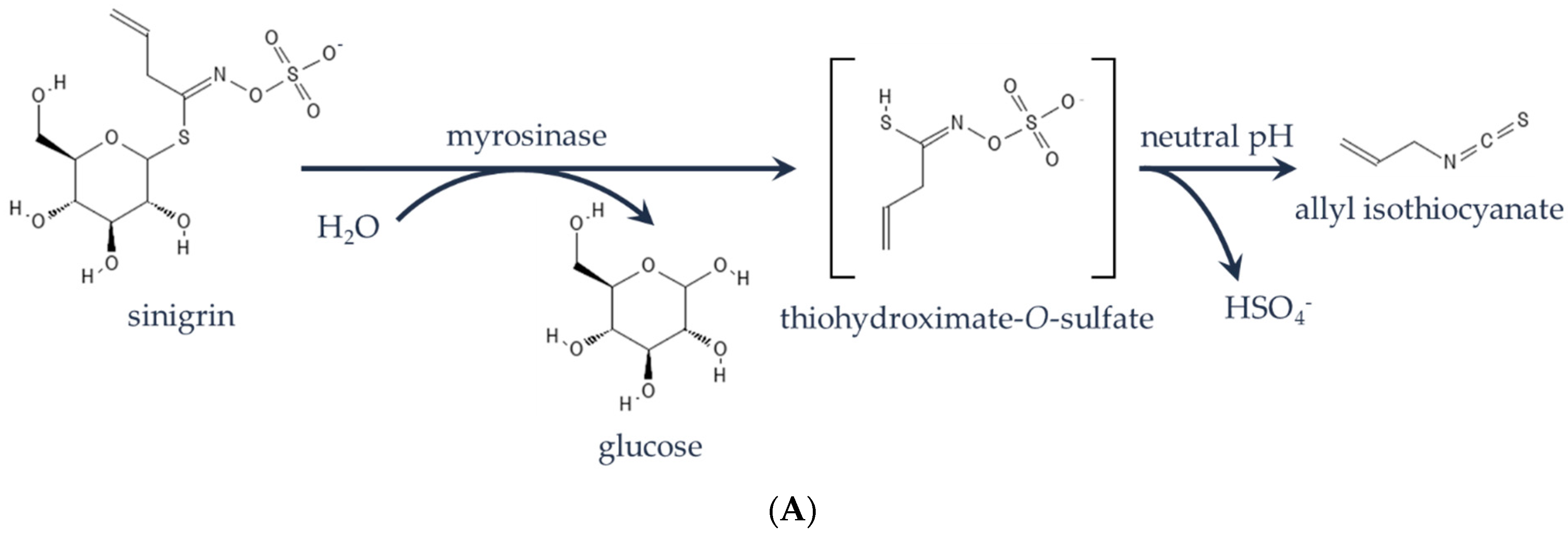 Plants 11 02494 g001a