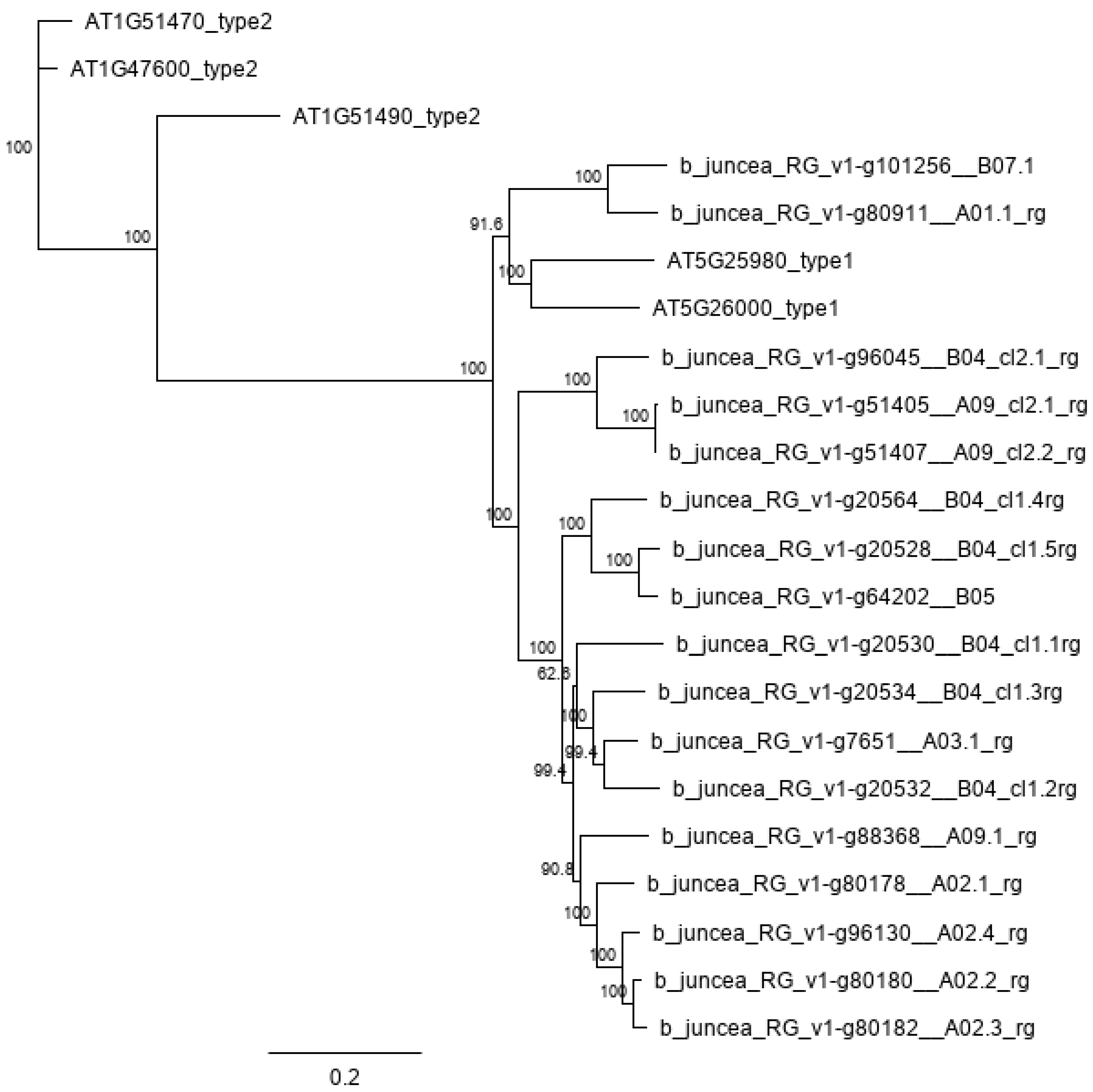 Plants 11 02494 g002
