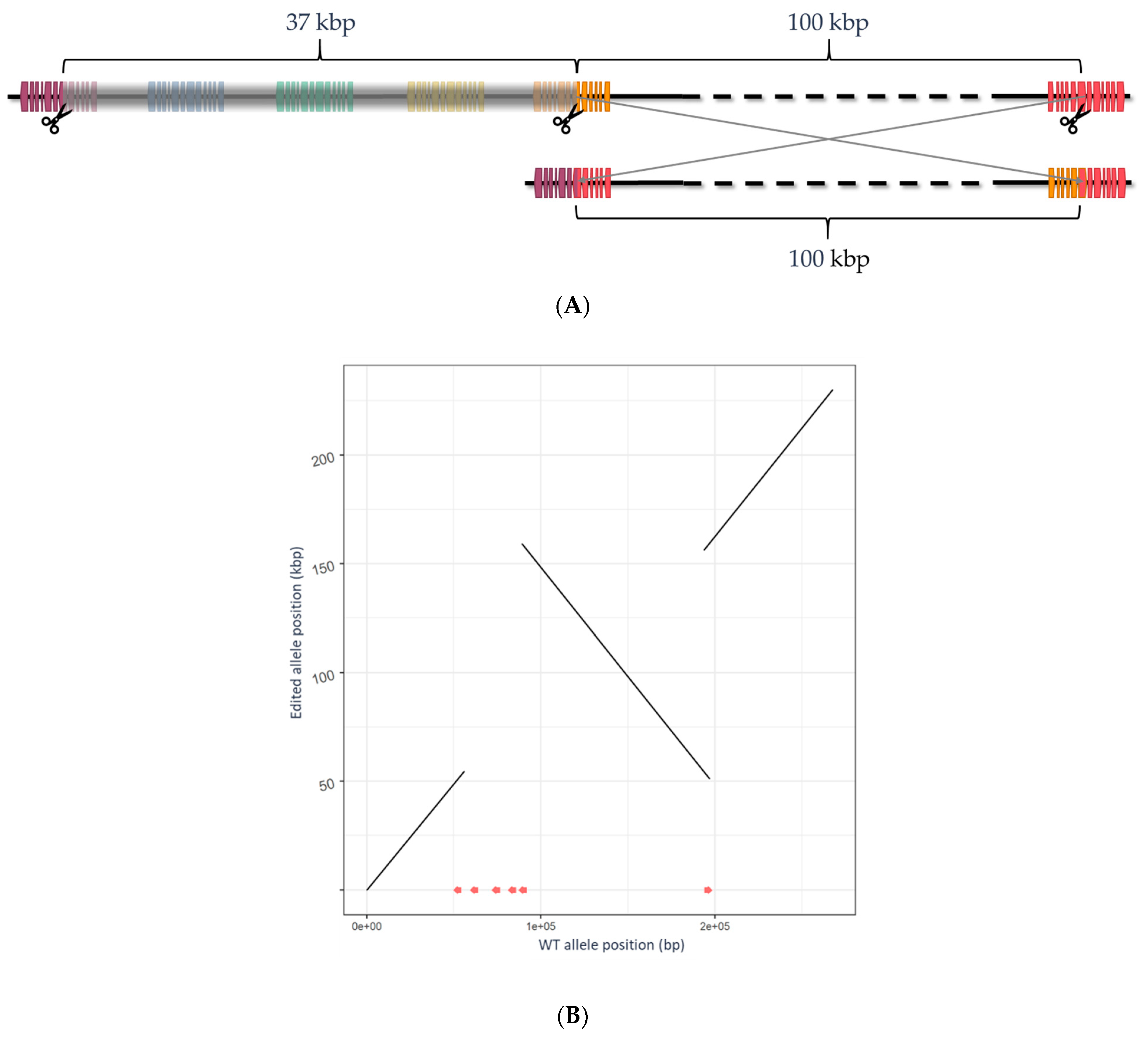 Plants 11 02494 g004