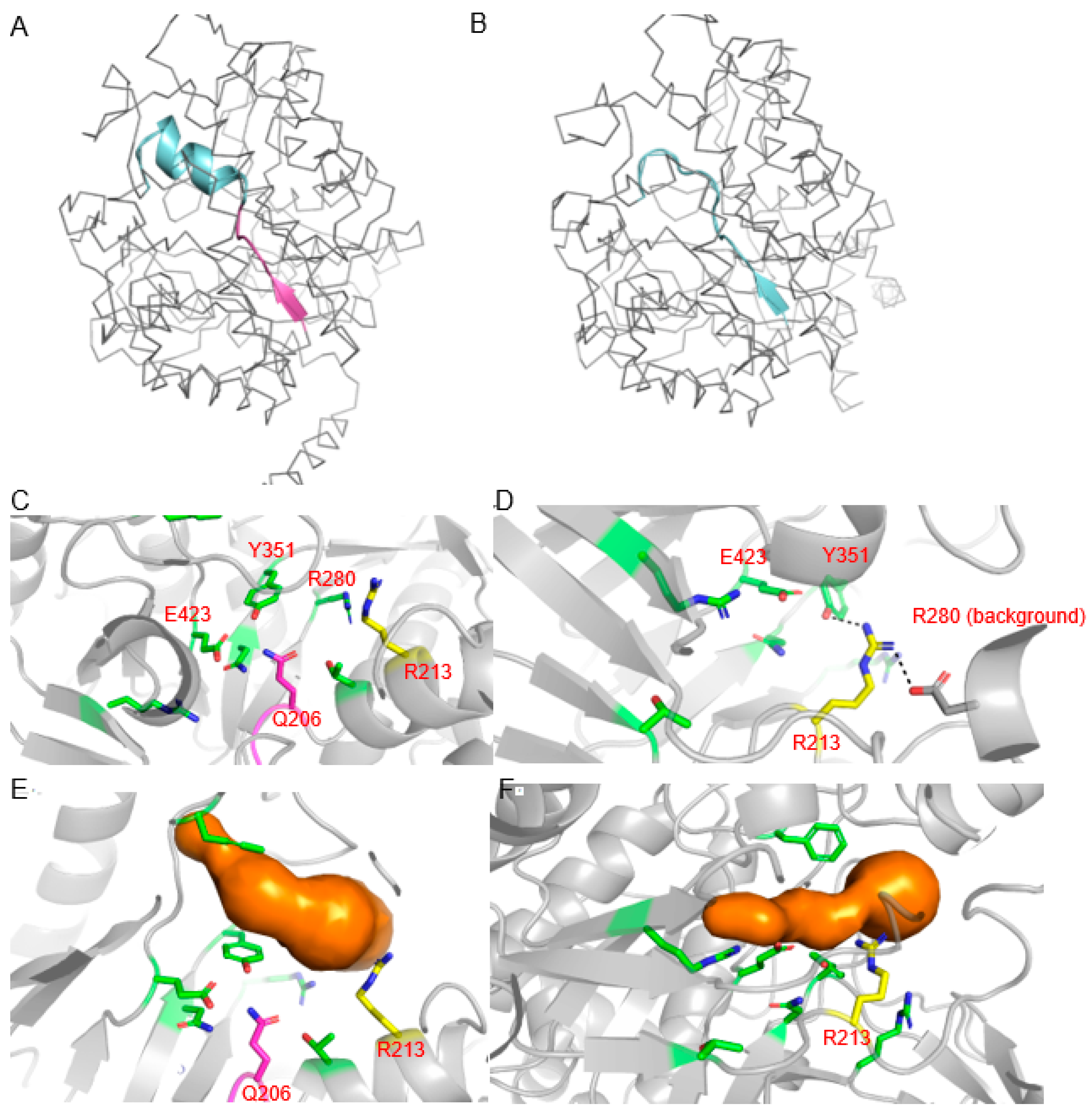 Plants 11 02494 g006