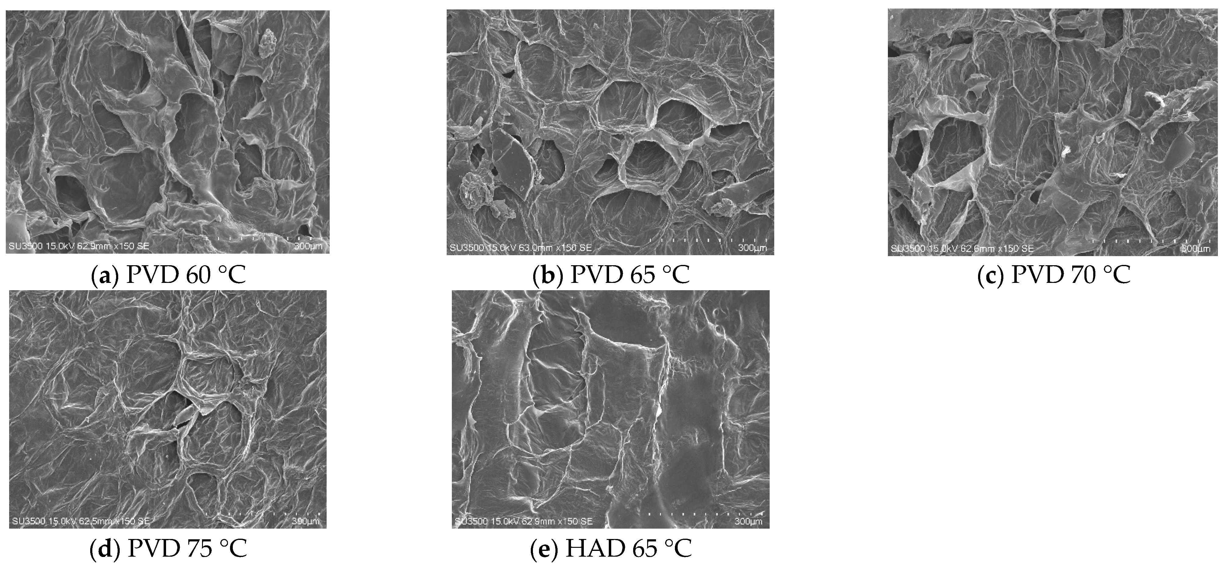 Plants 11 02500 g005