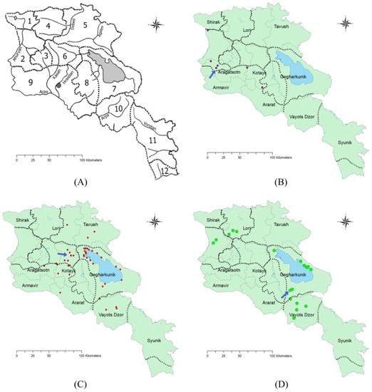 Plants Free FullText Distribution of Biodiversity of Wild Beet