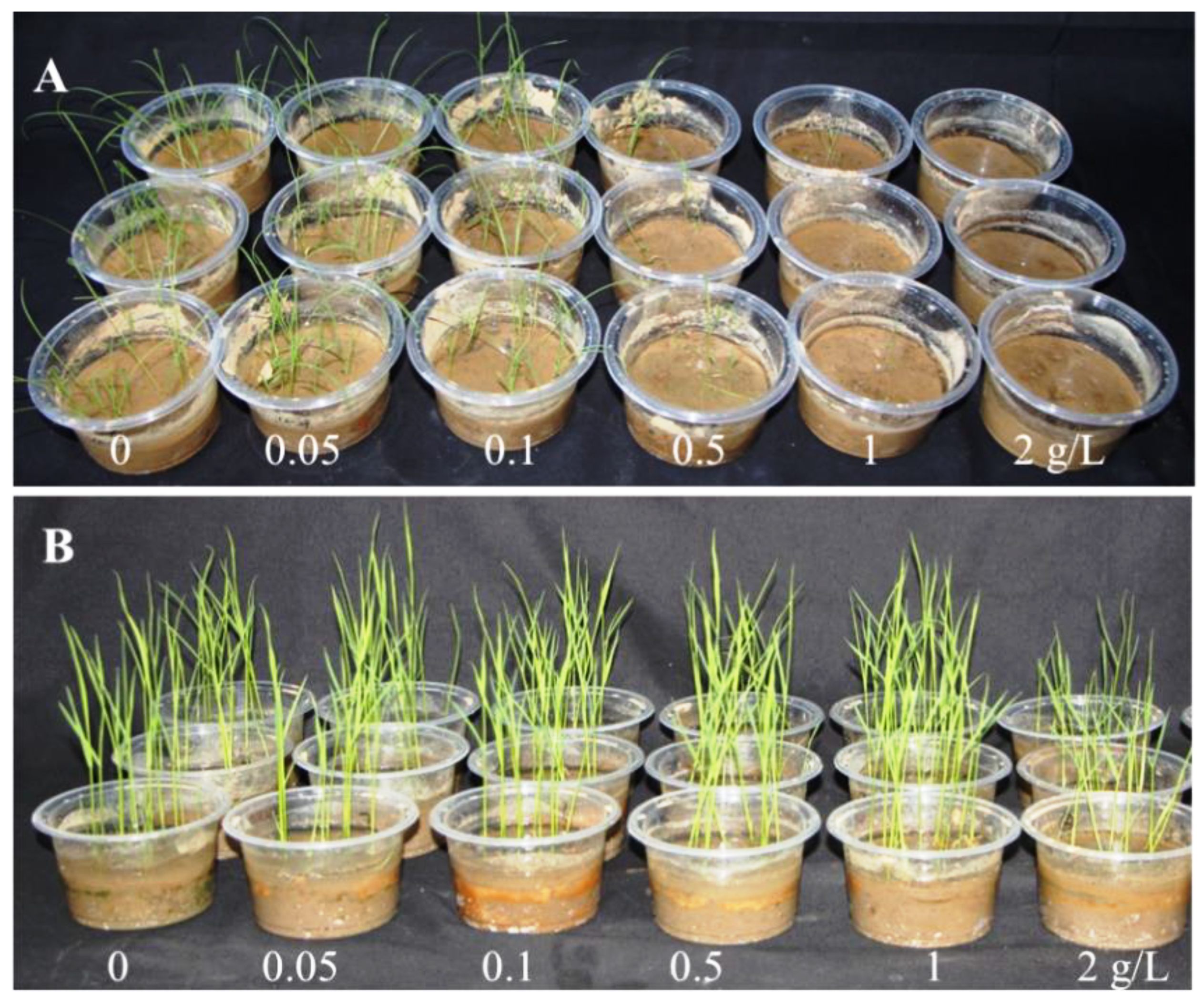 Plants 11 02505 g001 Plants 11 02505 g001