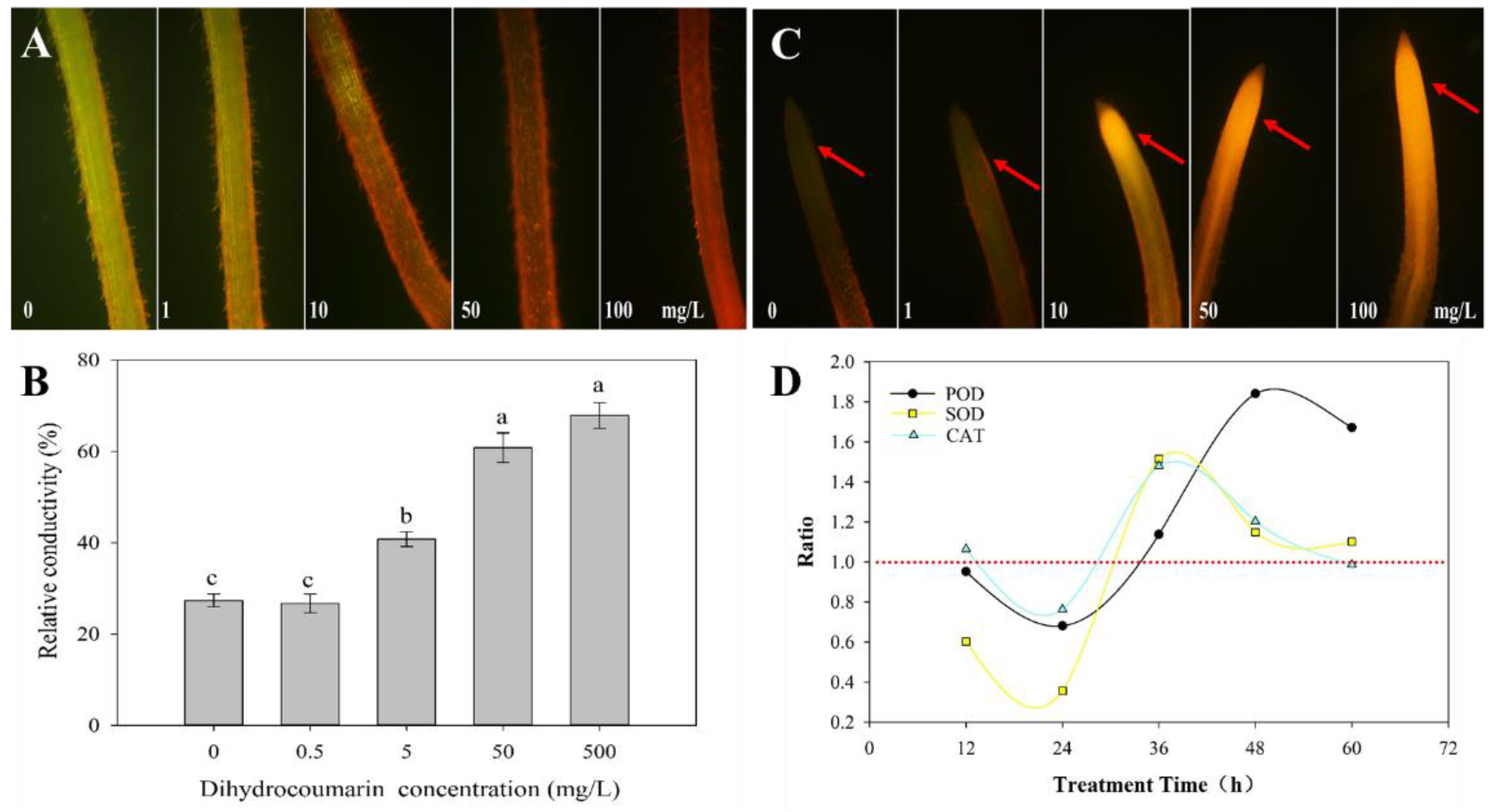 Plants 11 02505 g002 Plants 11 02505 g002