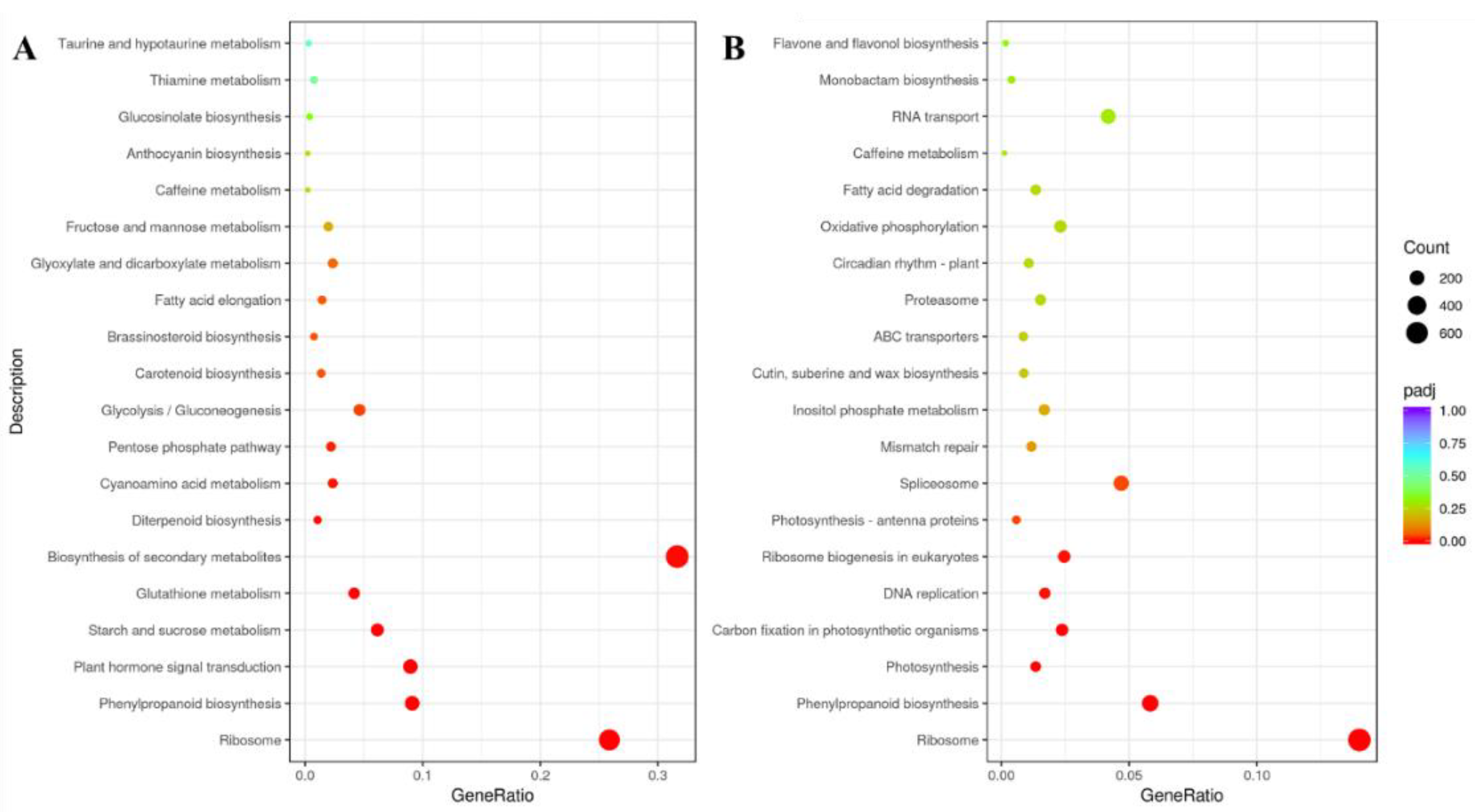 Plants 11 02505 g003 Plants 11 02505 g003