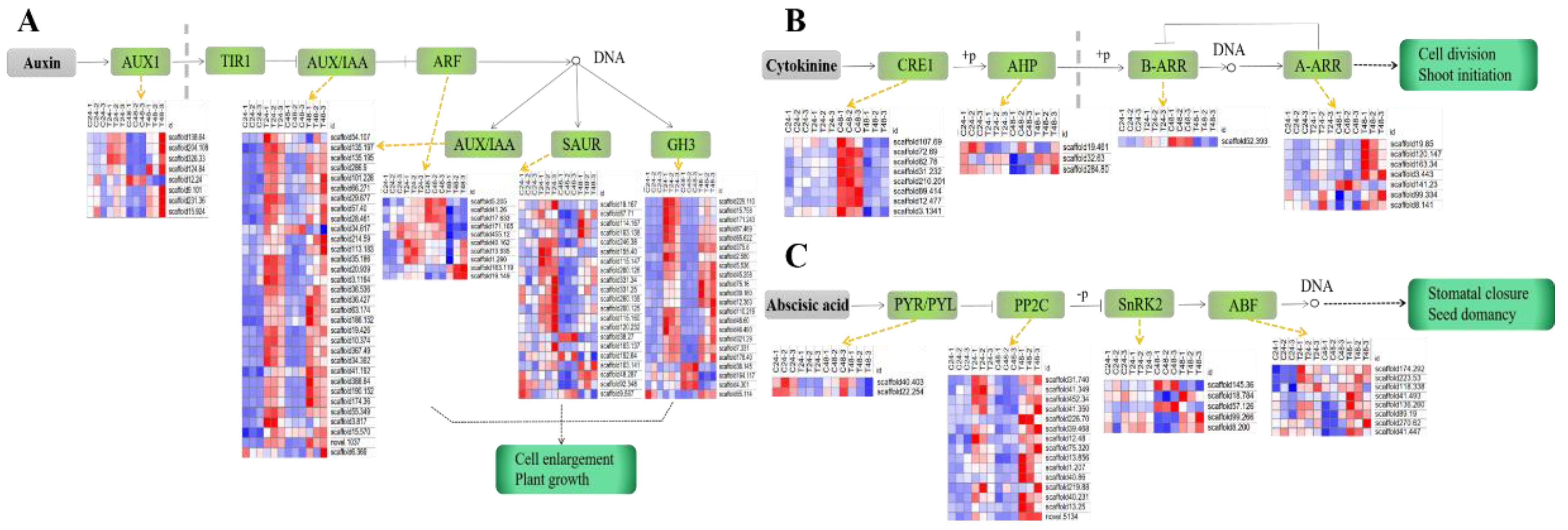 Plants 11 02505 g004 Plants 11 02505 g004
