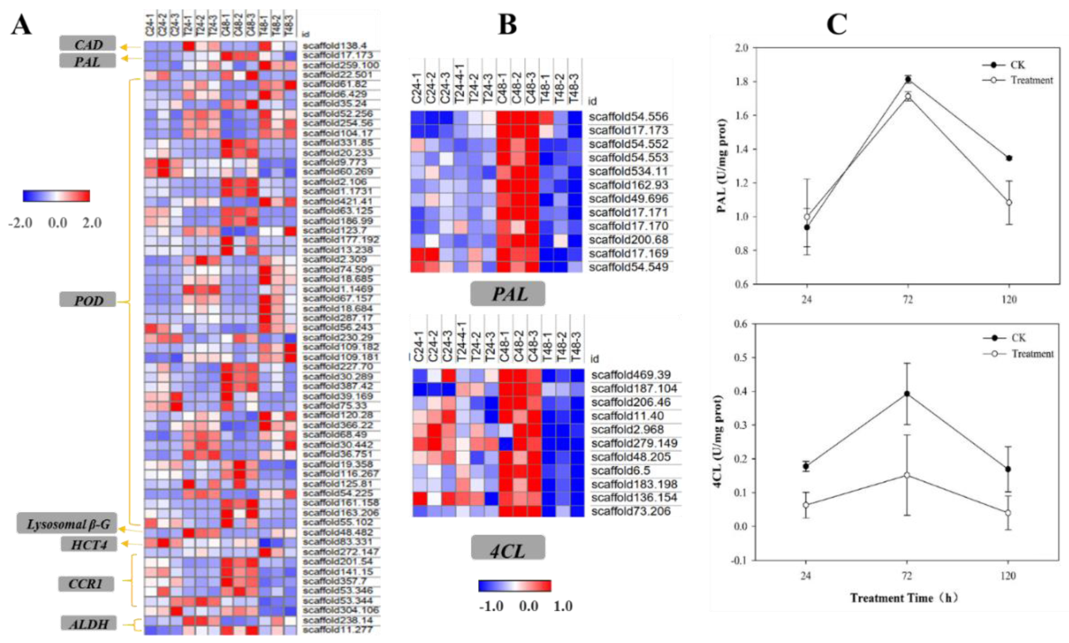 Plants 11 02505 g005 Plants 11 02505 g005
