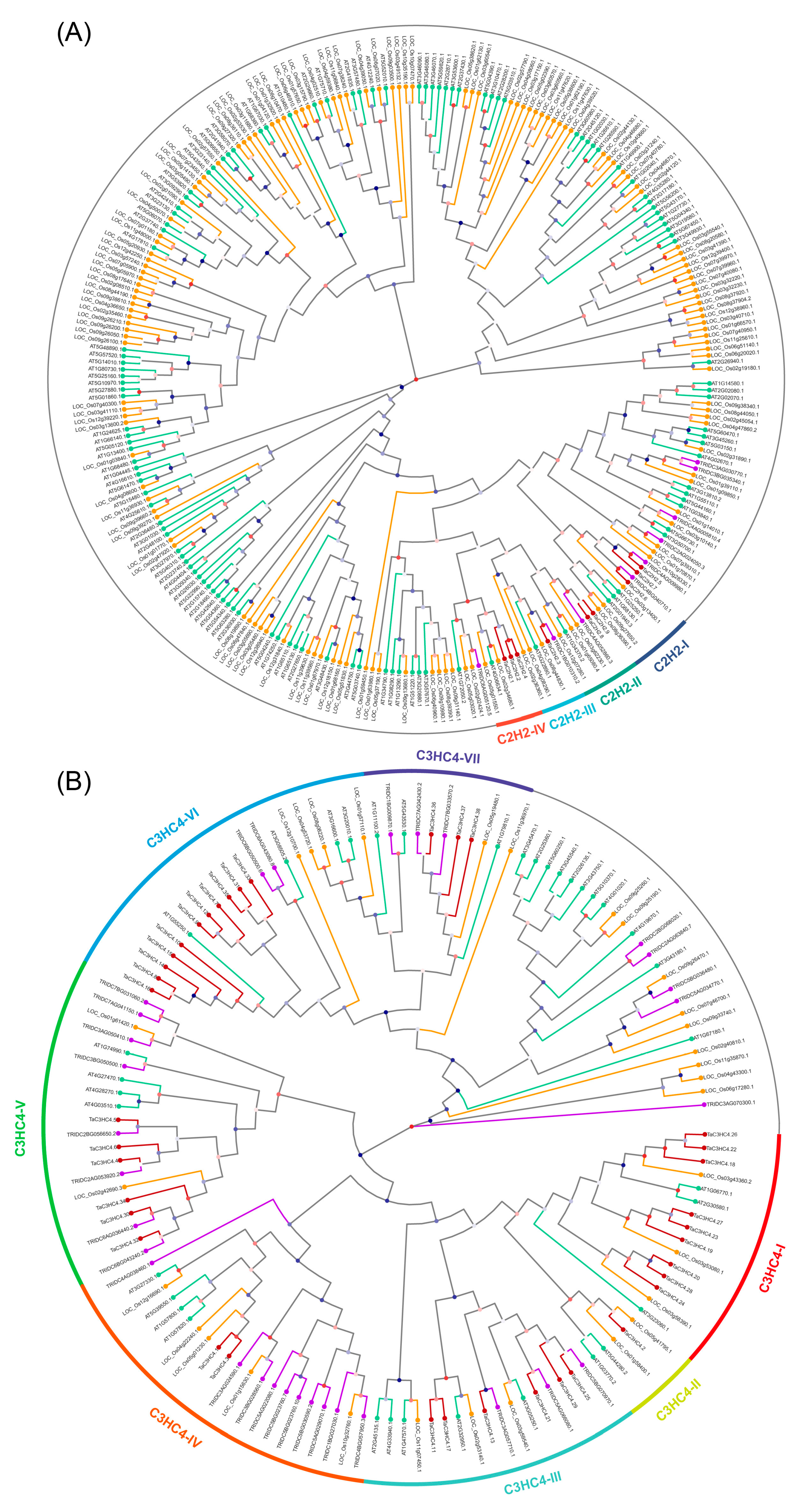 Plants 11 02511 g002a Plants 11 02511 g002a