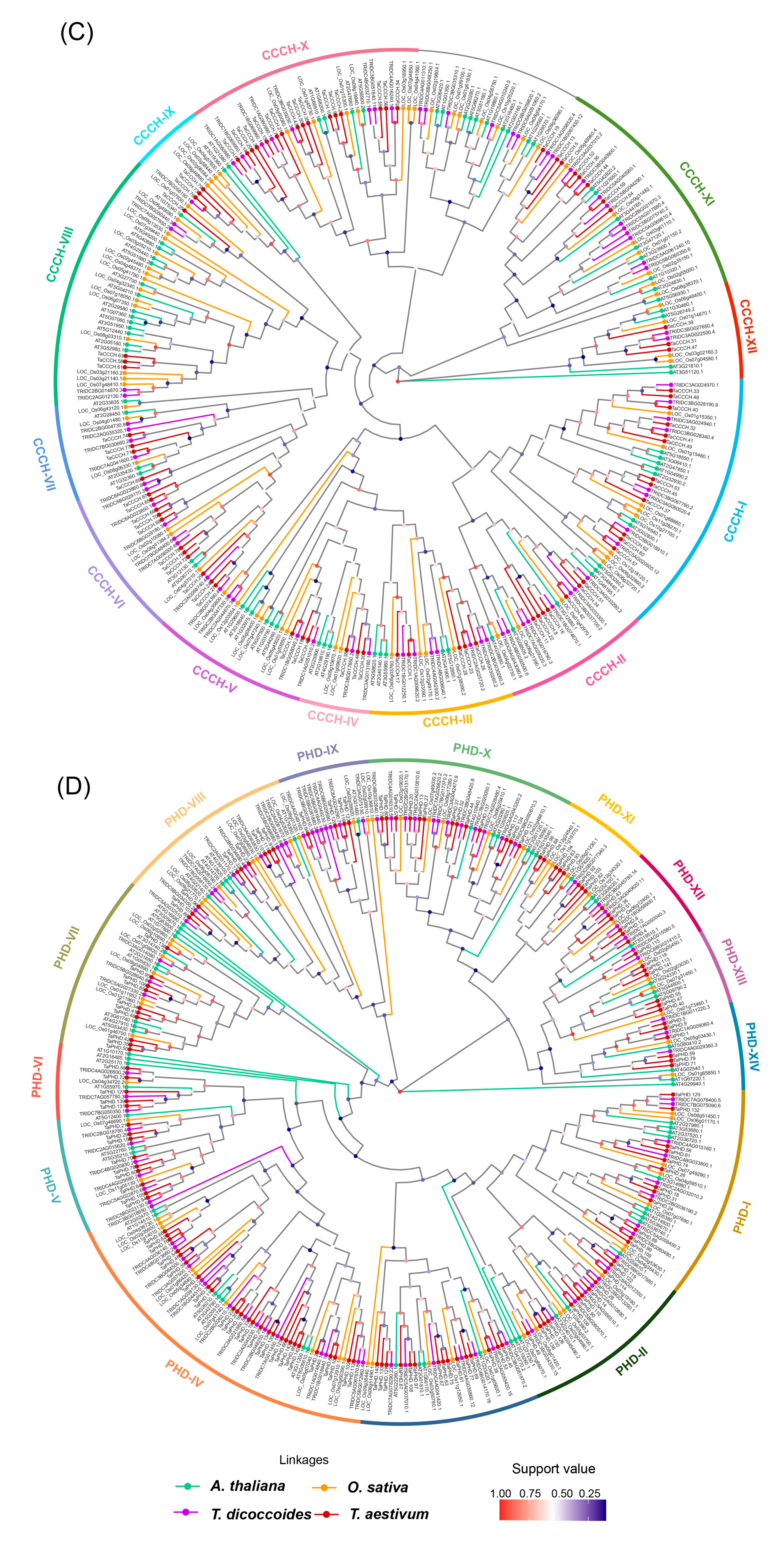 Plants 11 02511 g002b Plants 11 02511 g002b