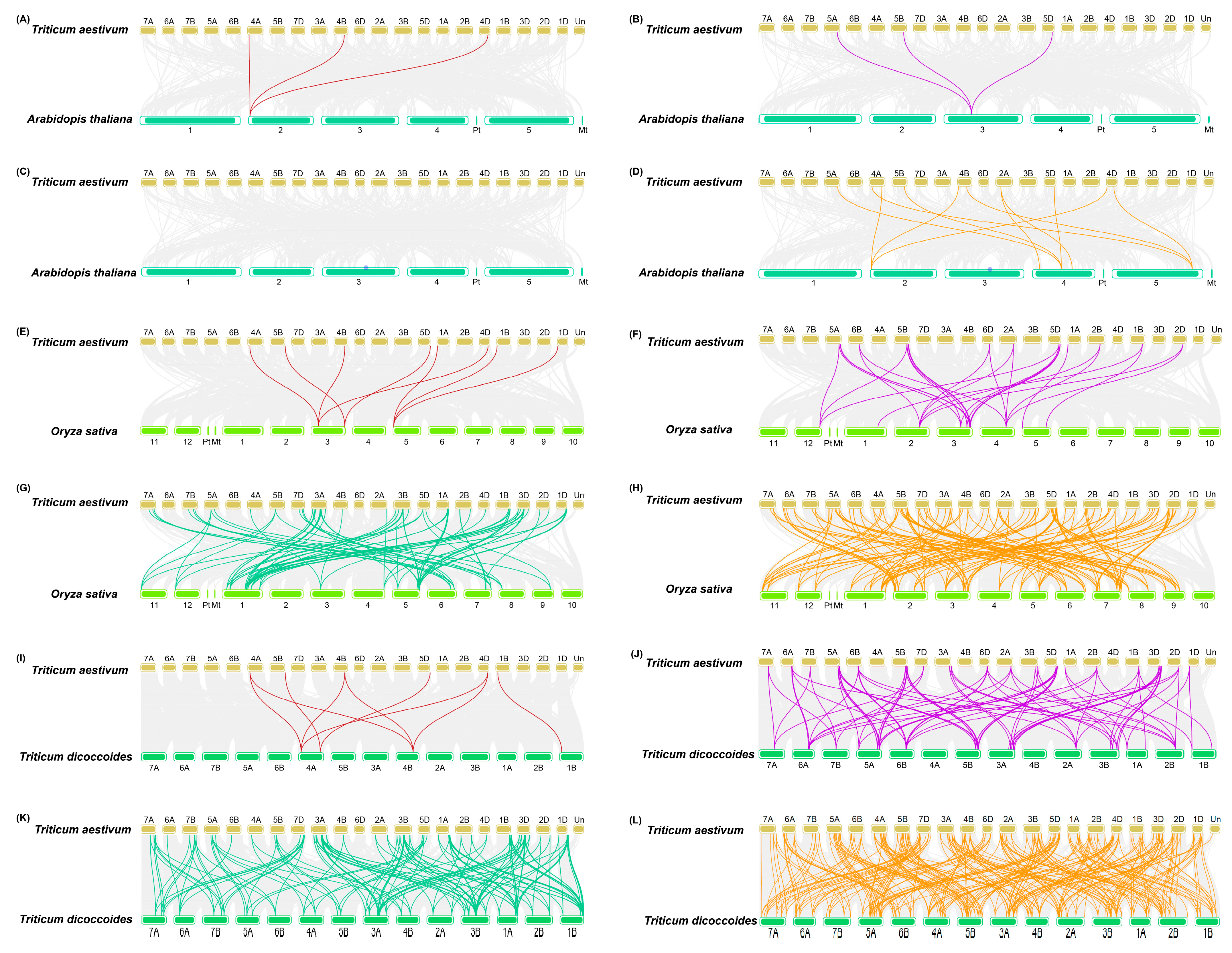 Plants 11 02511 g003 Plants 11 02511 g003