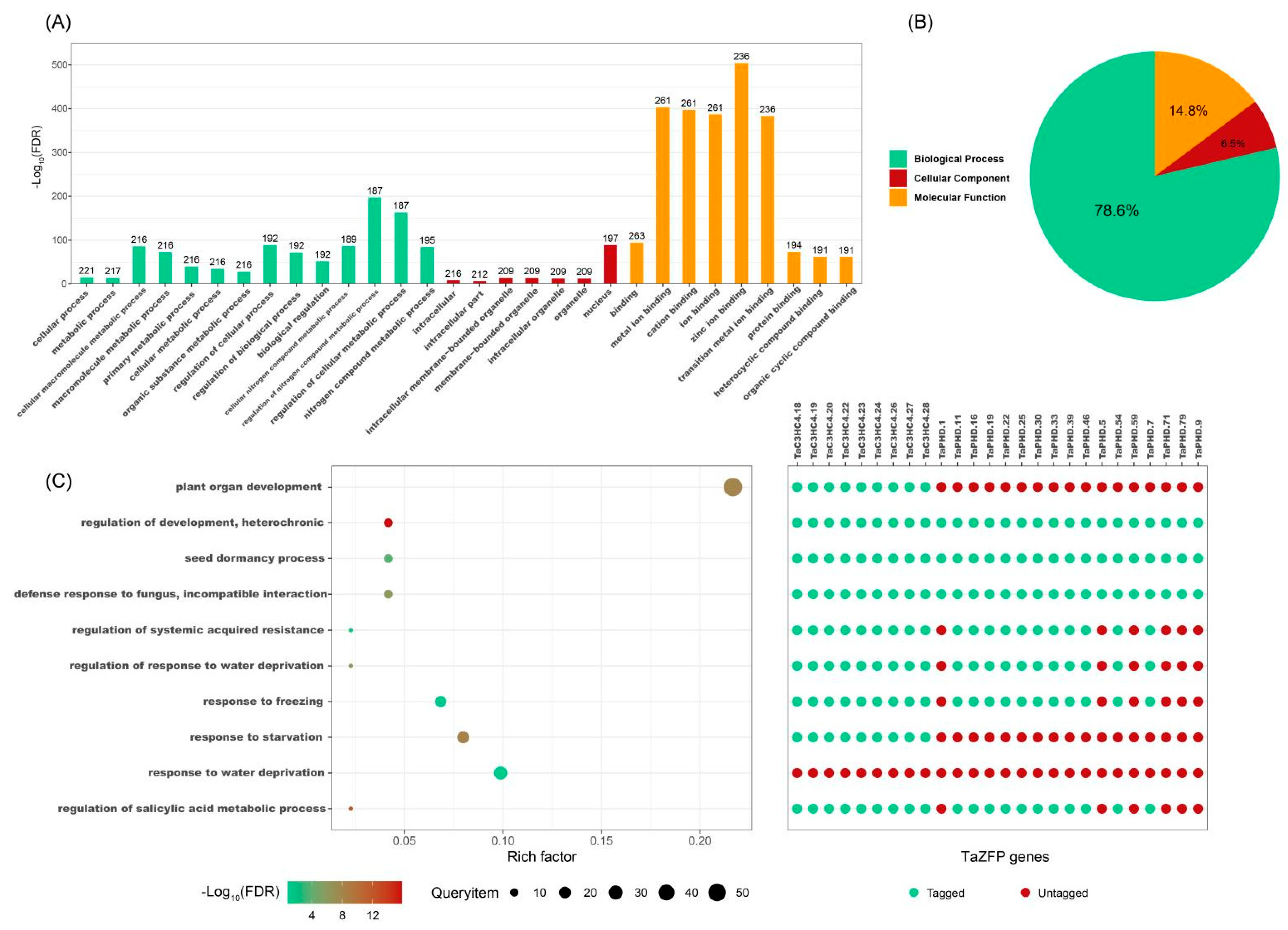 Plants 11 02511 g005 Plants 11 02511 g005