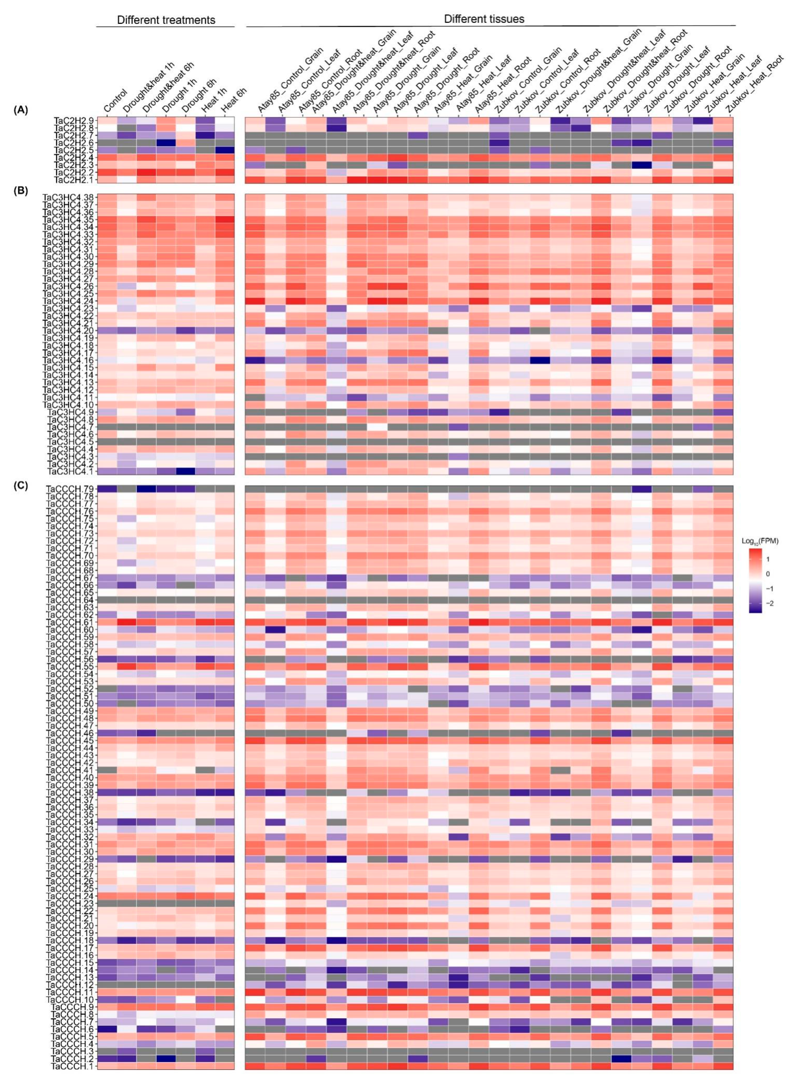 Plants 11 02511 g007a Plants 11 02511 g007a