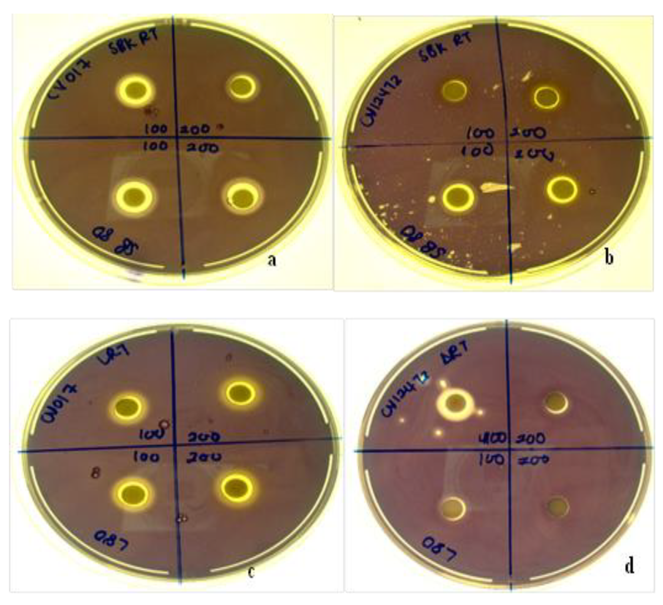 Plants 11 02514 g010 Plants 11 02514 g010