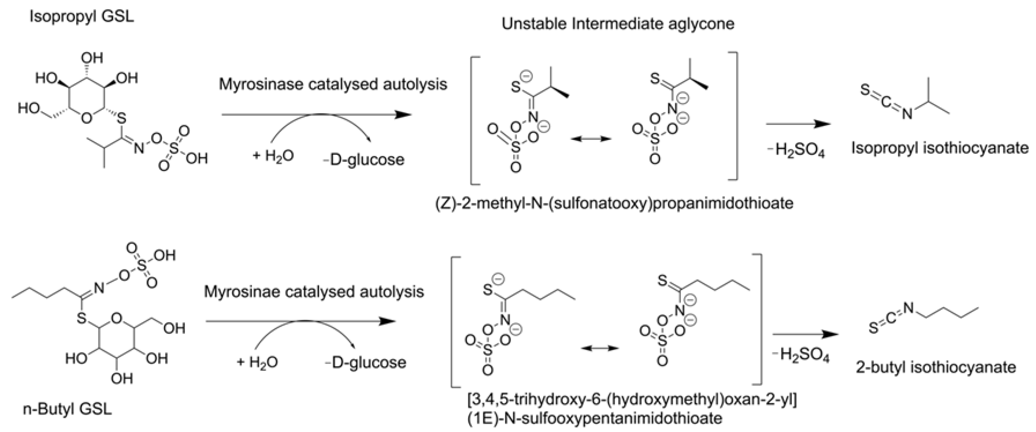 Plants 11 02518 g005 Plants 11 02518 g005