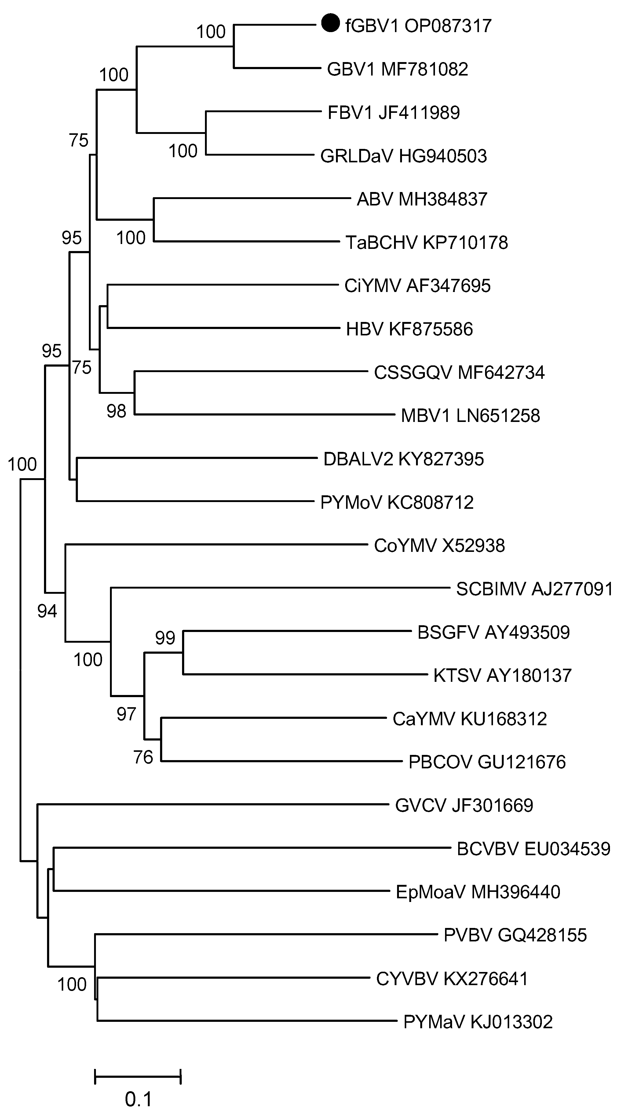 Plants 11 02532 g001