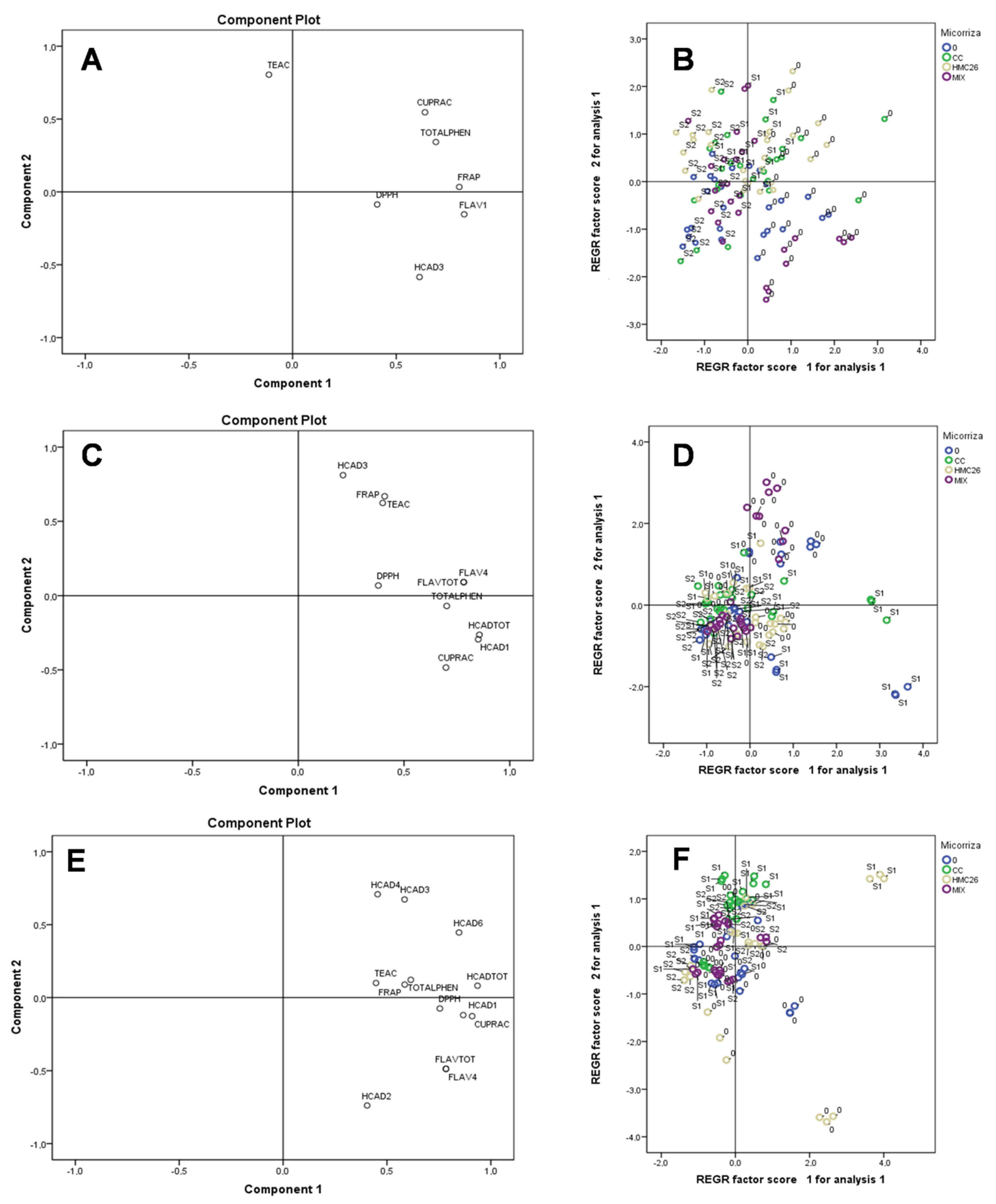 Plants 11 02539 g007 550