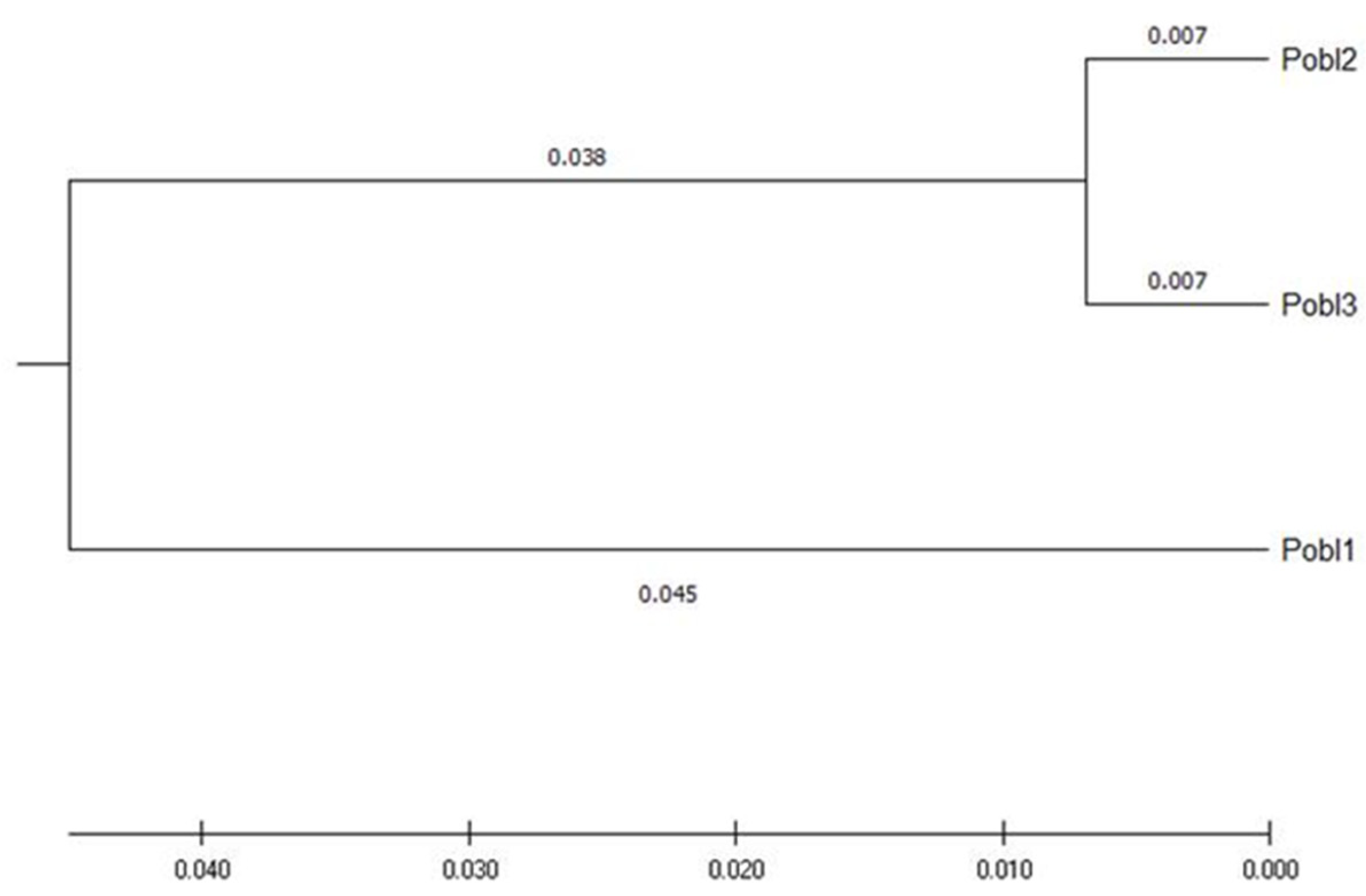 Plants 11 02542 g003