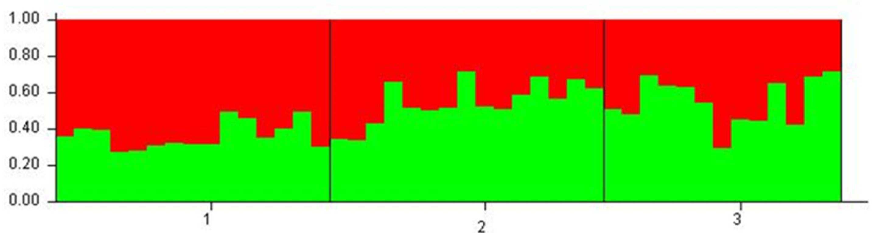 Plants 11 02542 g004