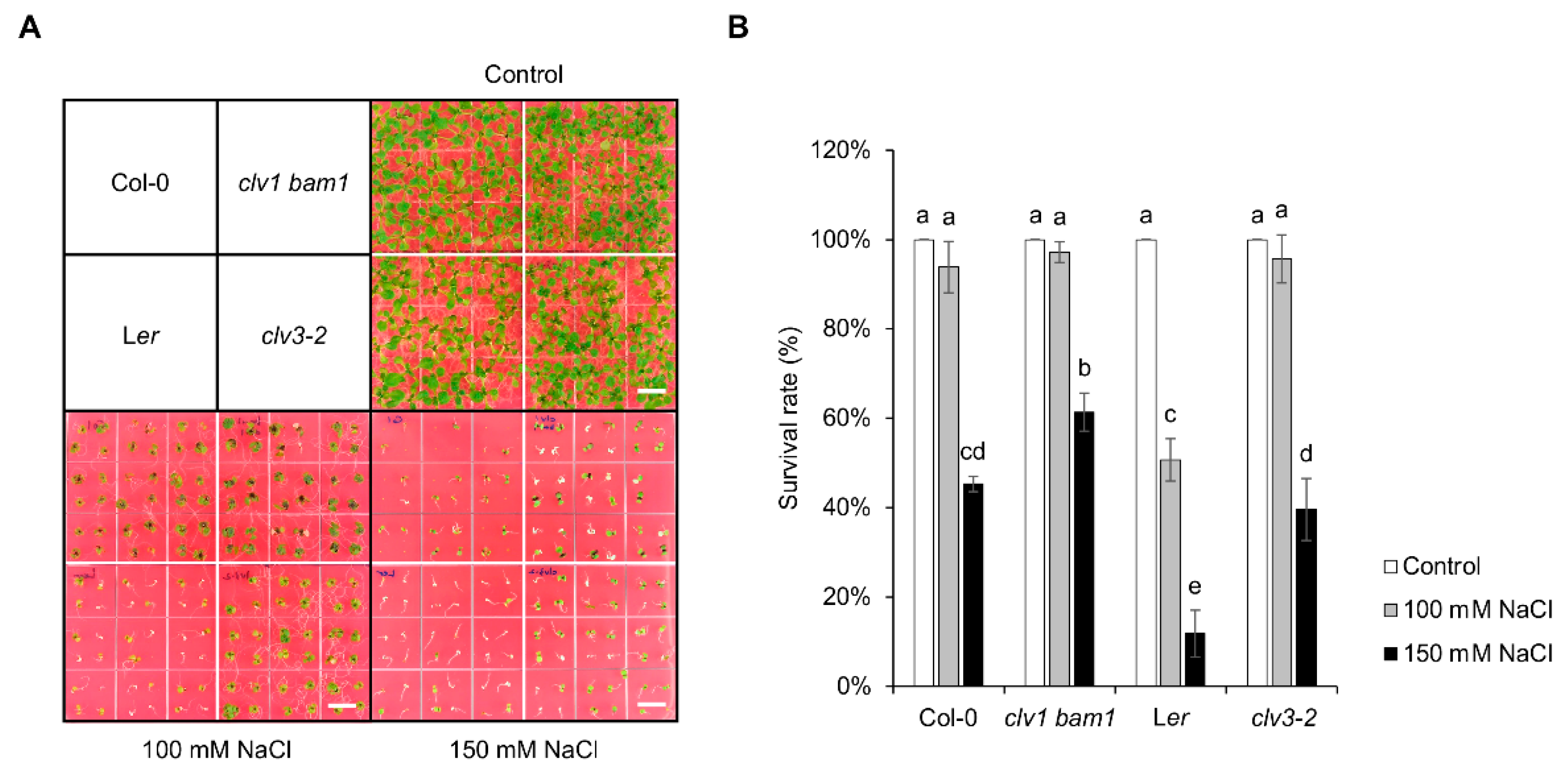 Plants 11 02546 g001 Plants 11 02546 g001