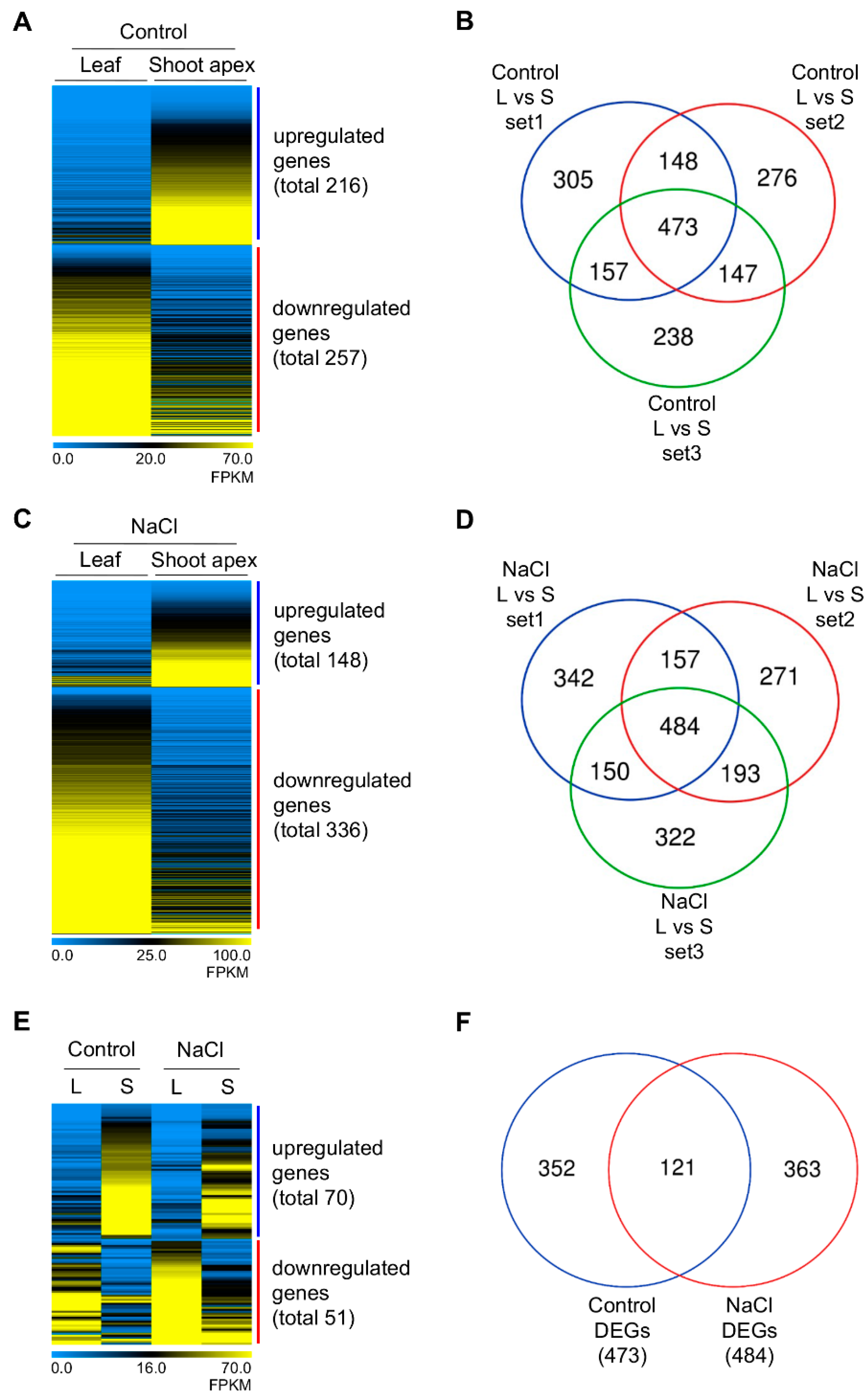 Plants 11 02546 g002 Plants 11 02546 g002