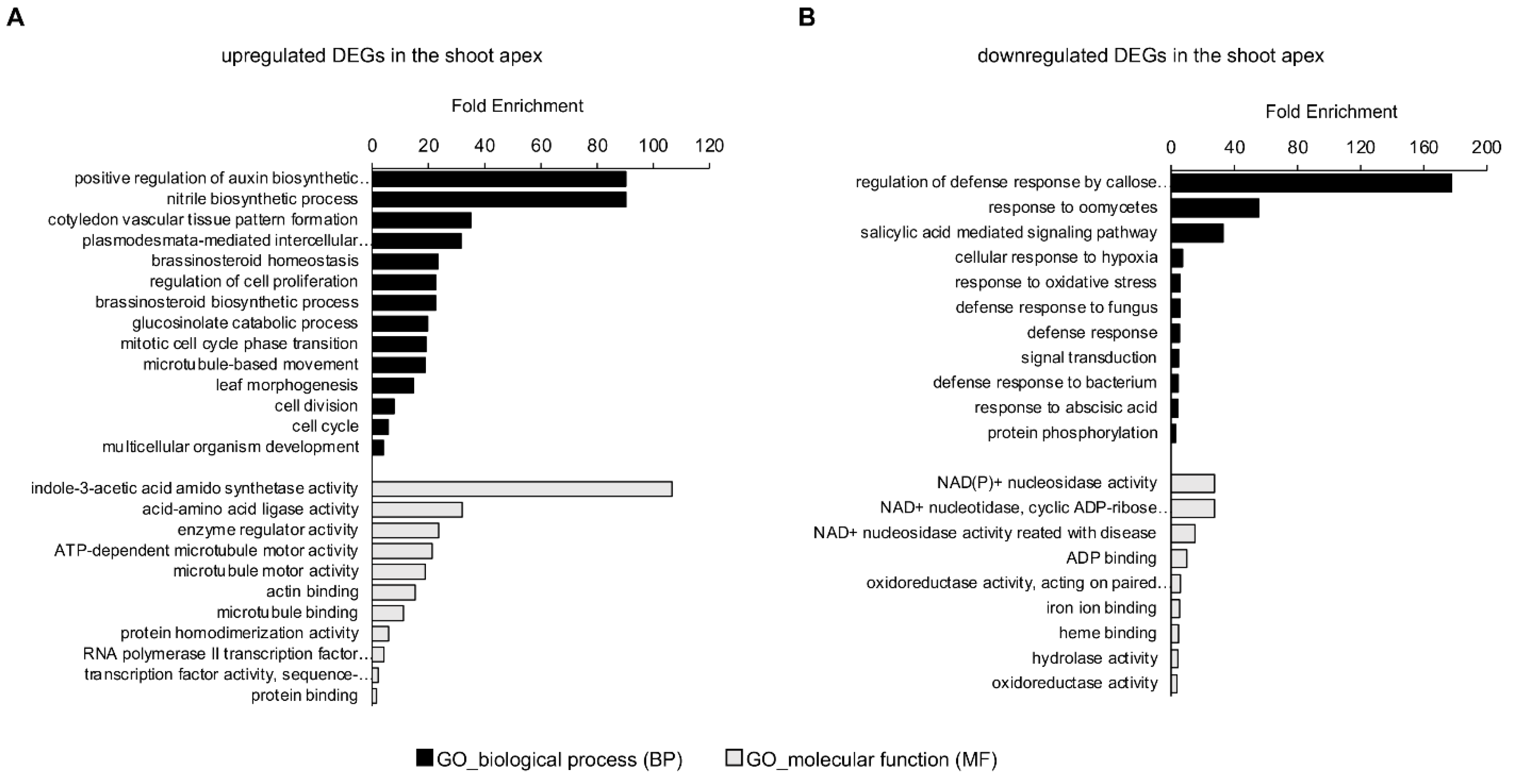 Plants 11 02546 g003 Plants 11 02546 g003