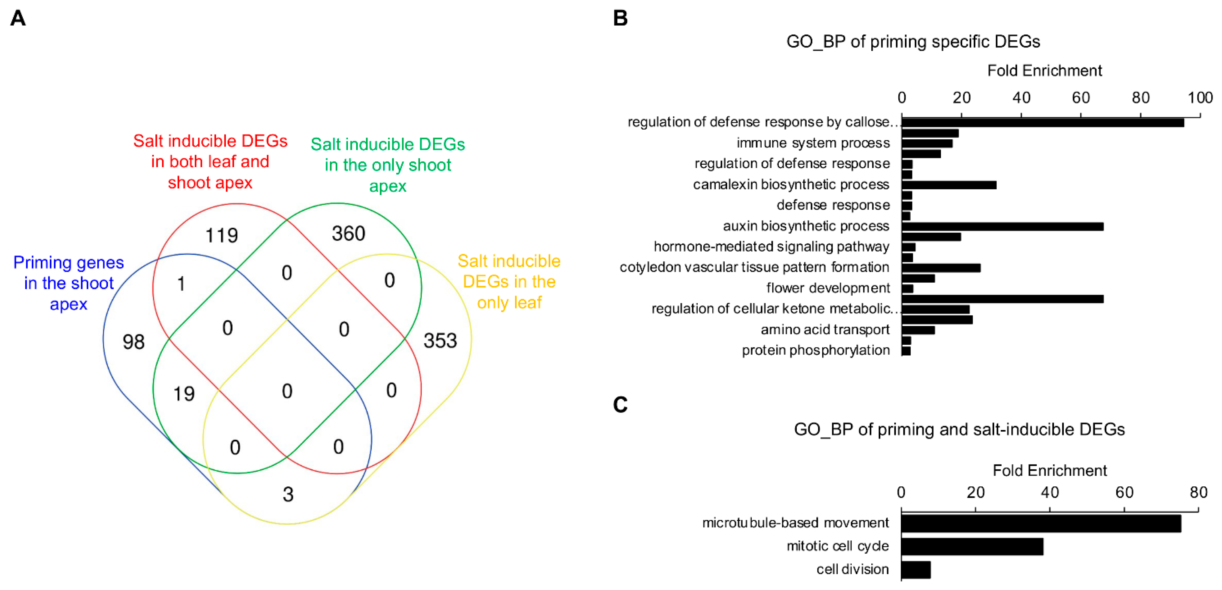Plants 11 02546 g006 Plants 11 02546 g006