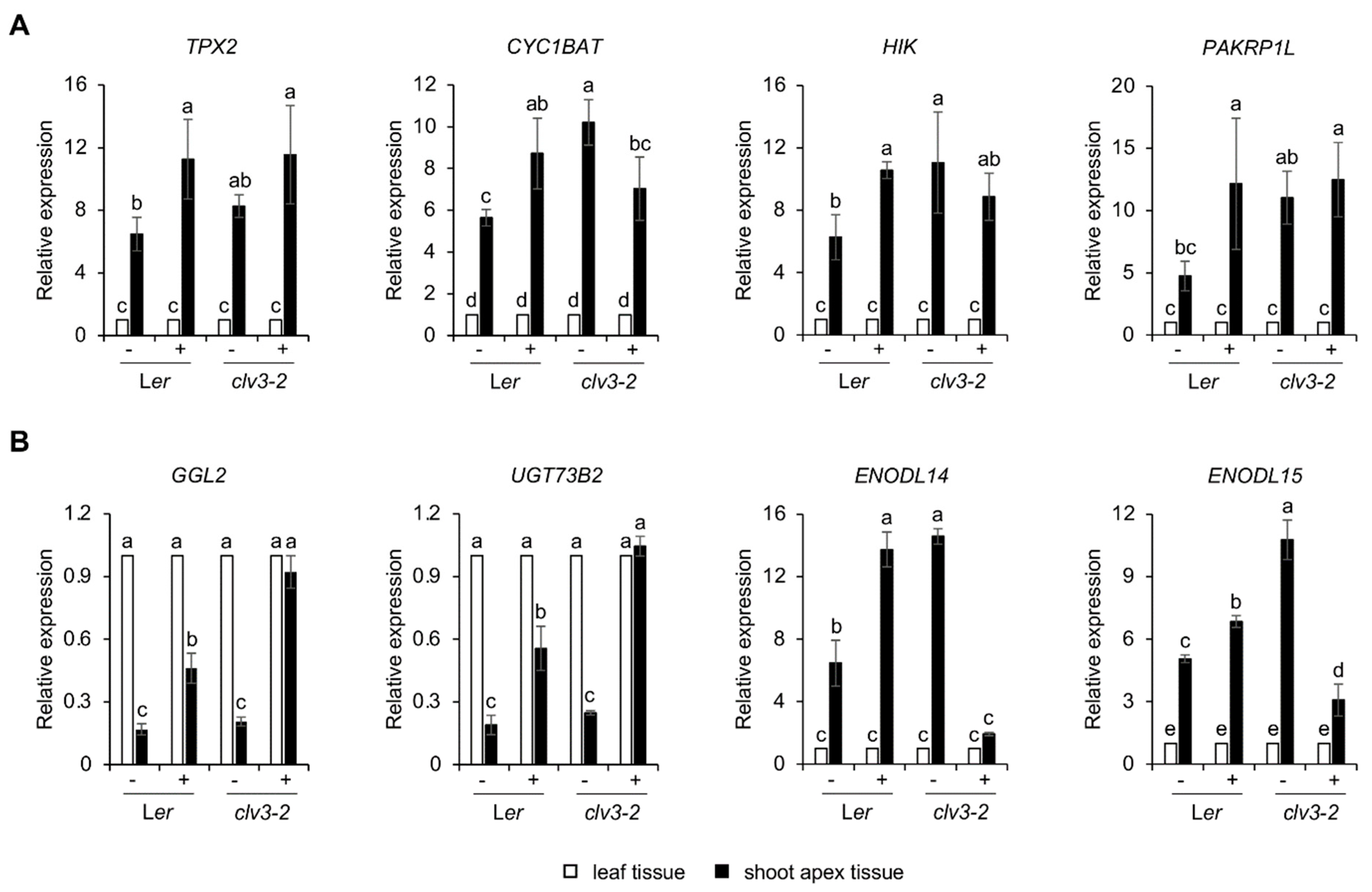 Plants 11 02546 g007 Plants 11 02546 g007