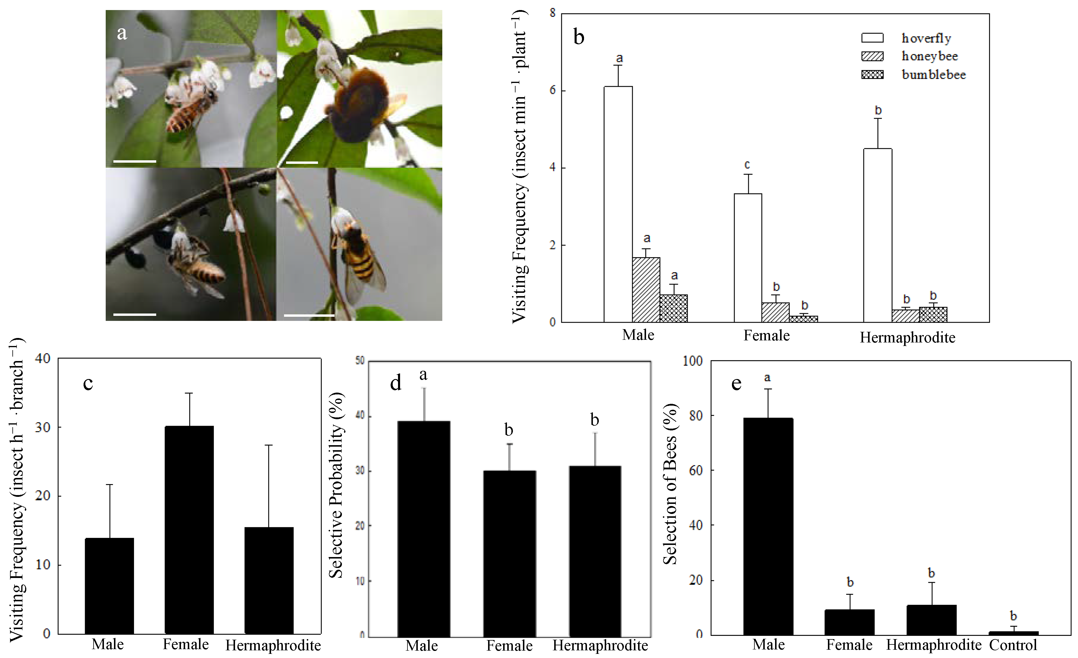 Plants 11 02560 g004 Plants 11 02560 g004
