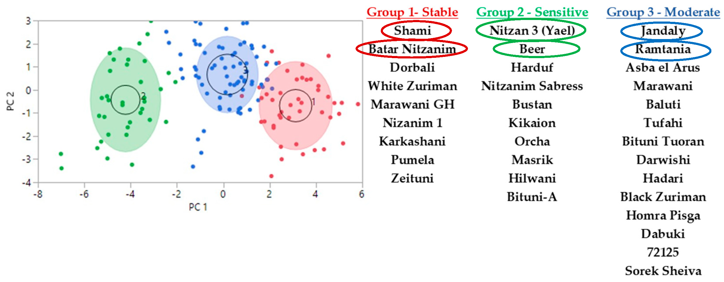 Plants 11 02563 g001