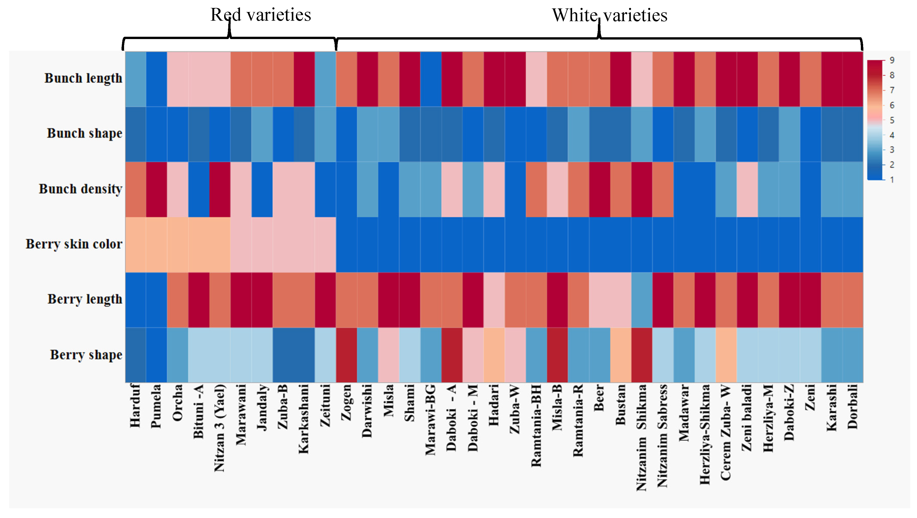Plants 11 02563 g004