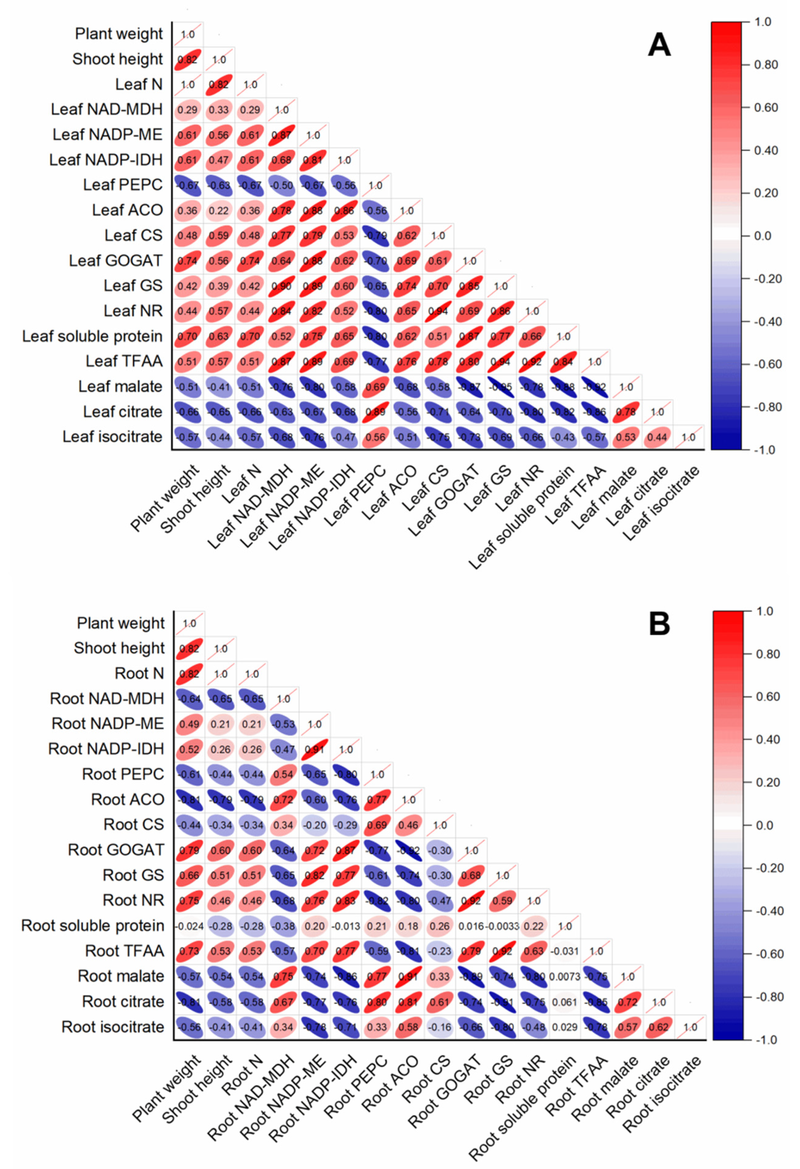 Plants 11 02576 g006