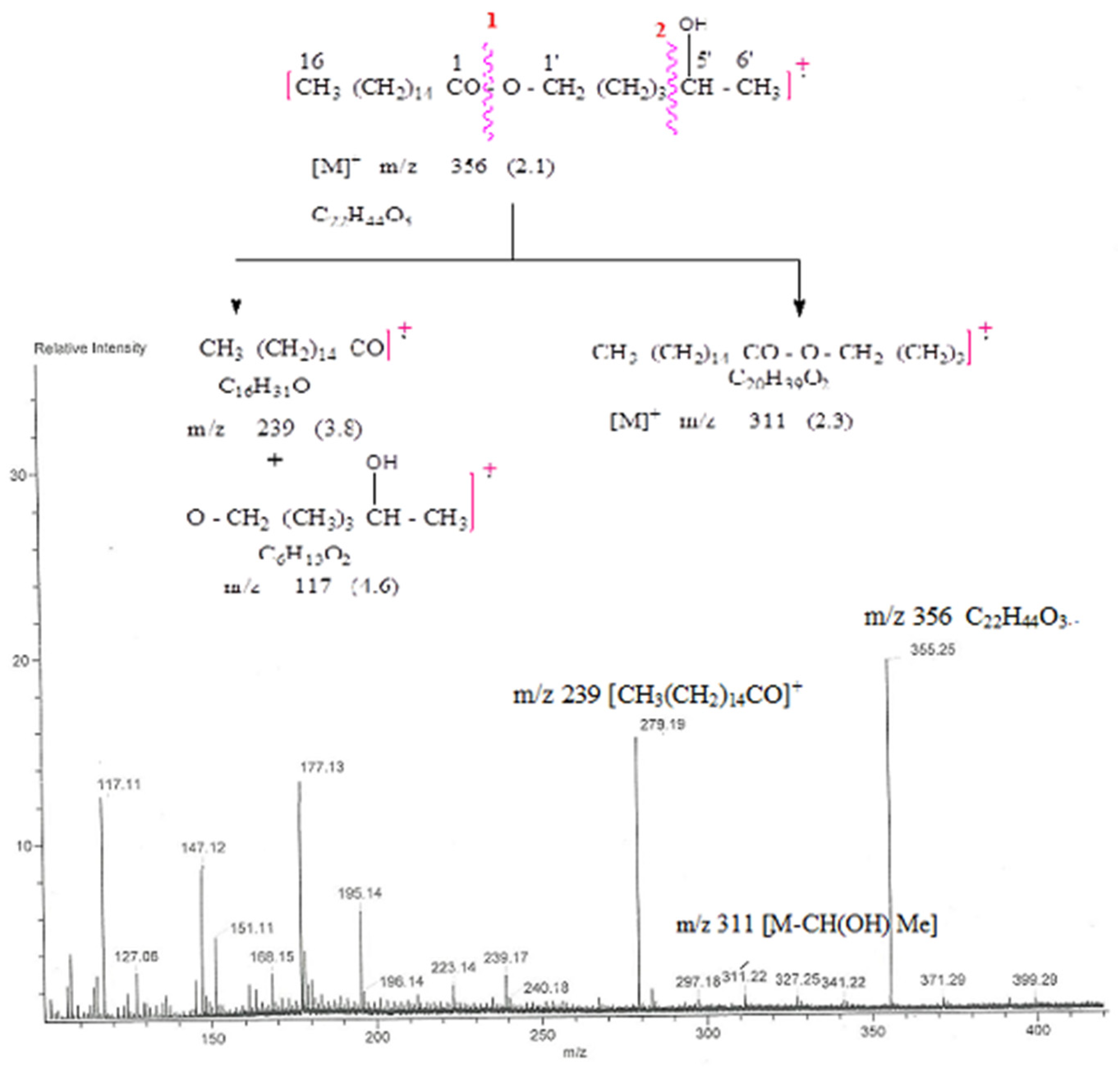 Plants 11 02583 g006 Plants 11 02583 g006