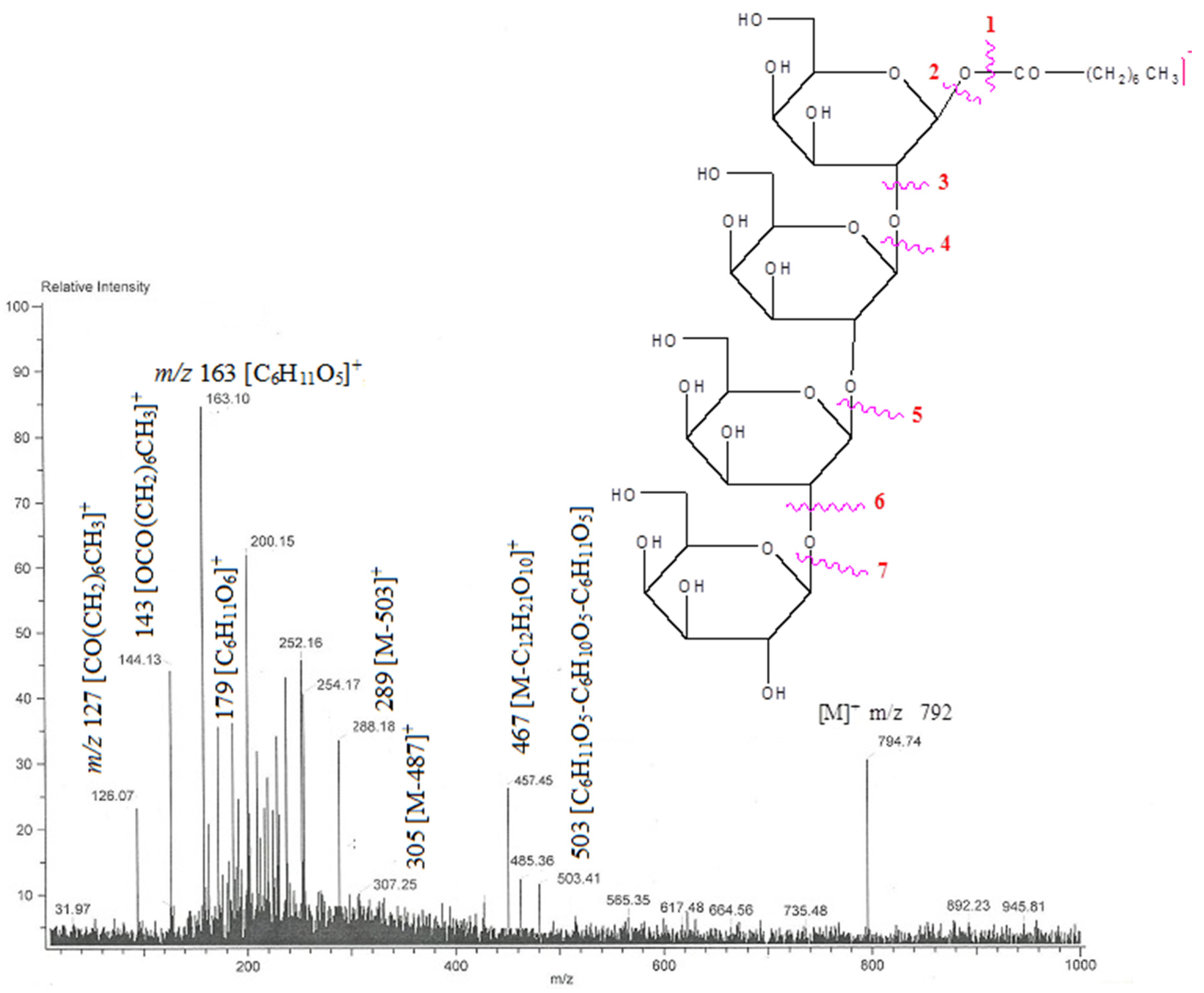 Plants 11 02583 g010 Plants 11 02583 g010