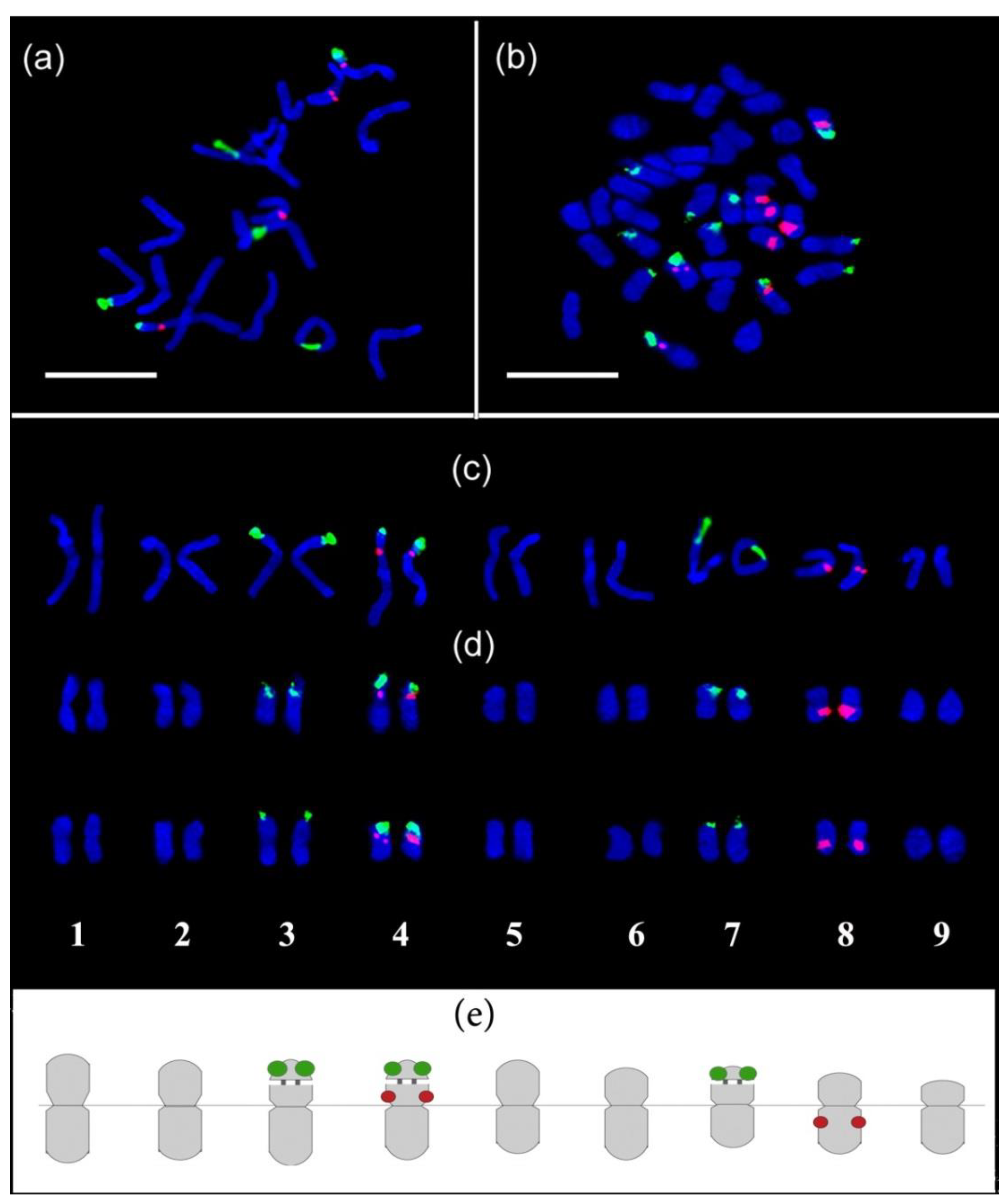 Plants 11 02585 g006 Plants 11 02585 g006