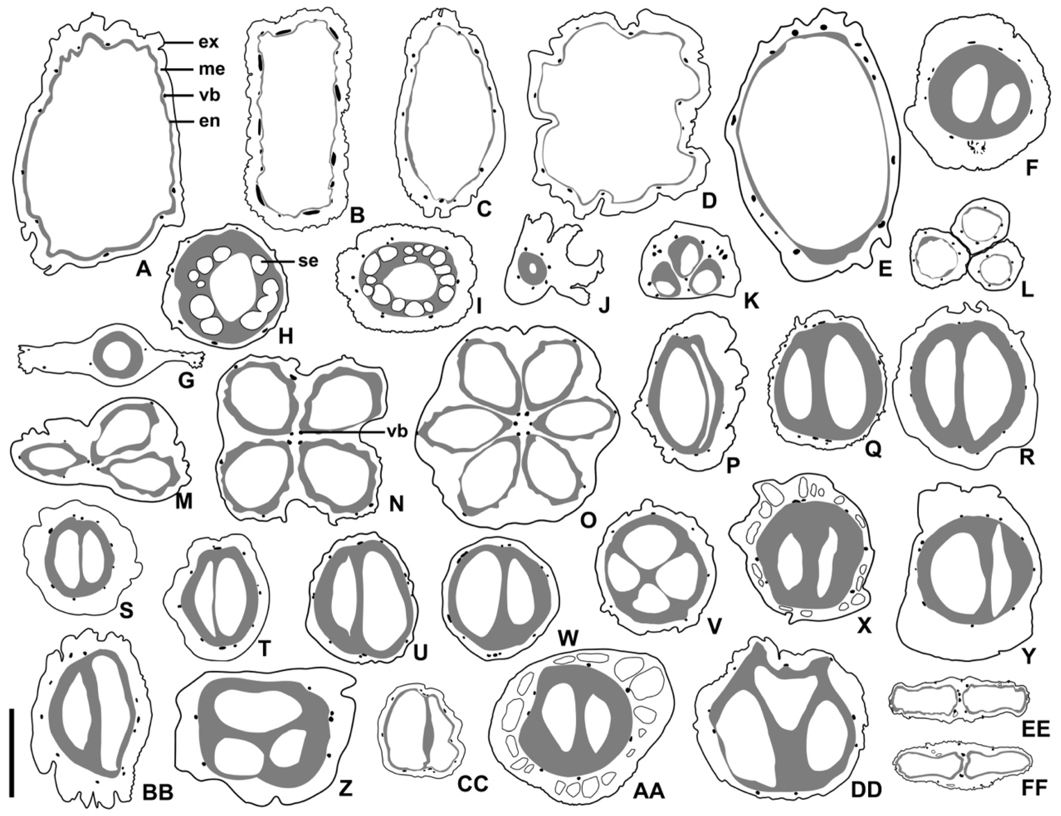 Plants 11 02591 g004 Plants 11 02591 g004