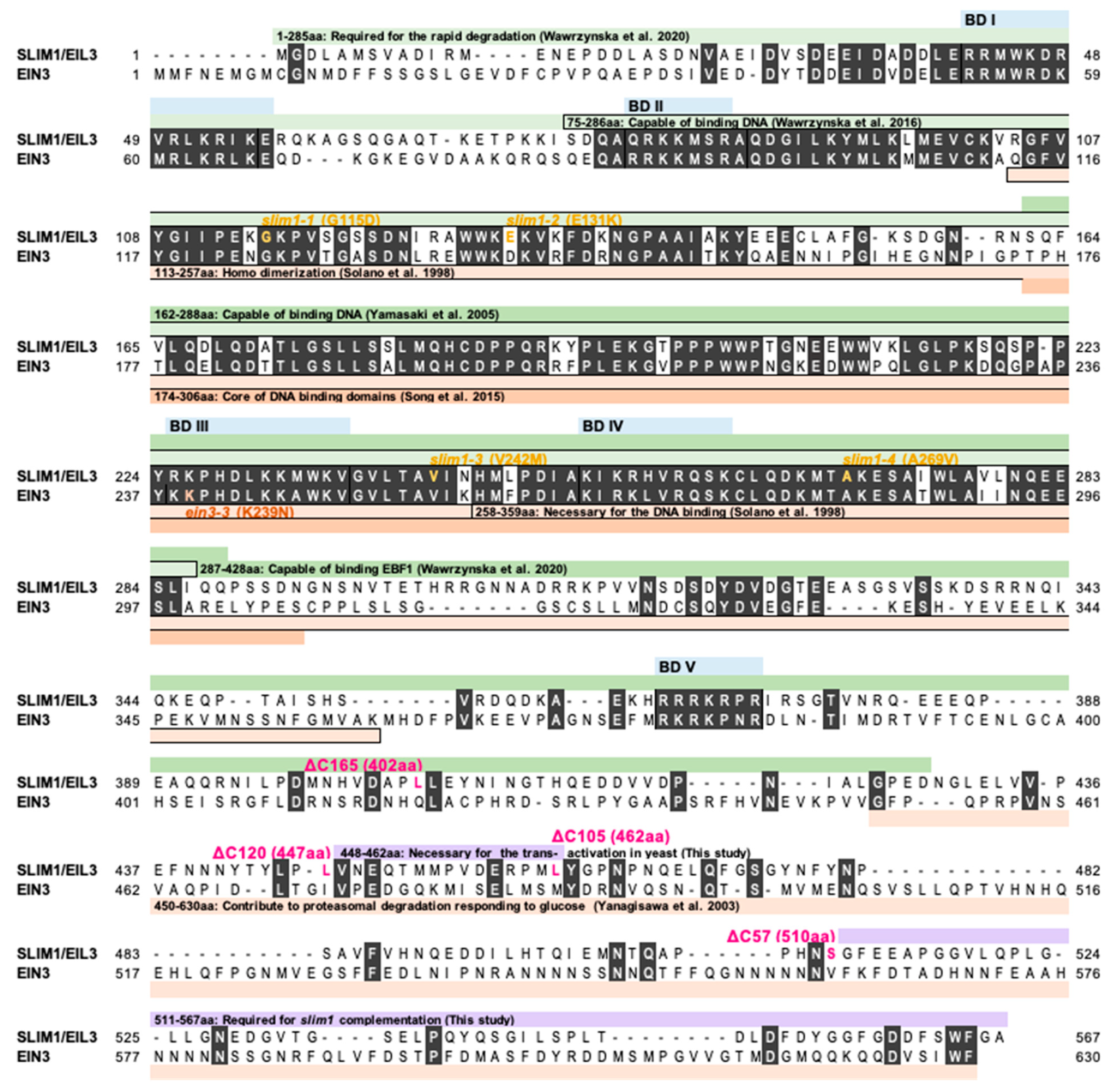 Plants 11 02595 g001