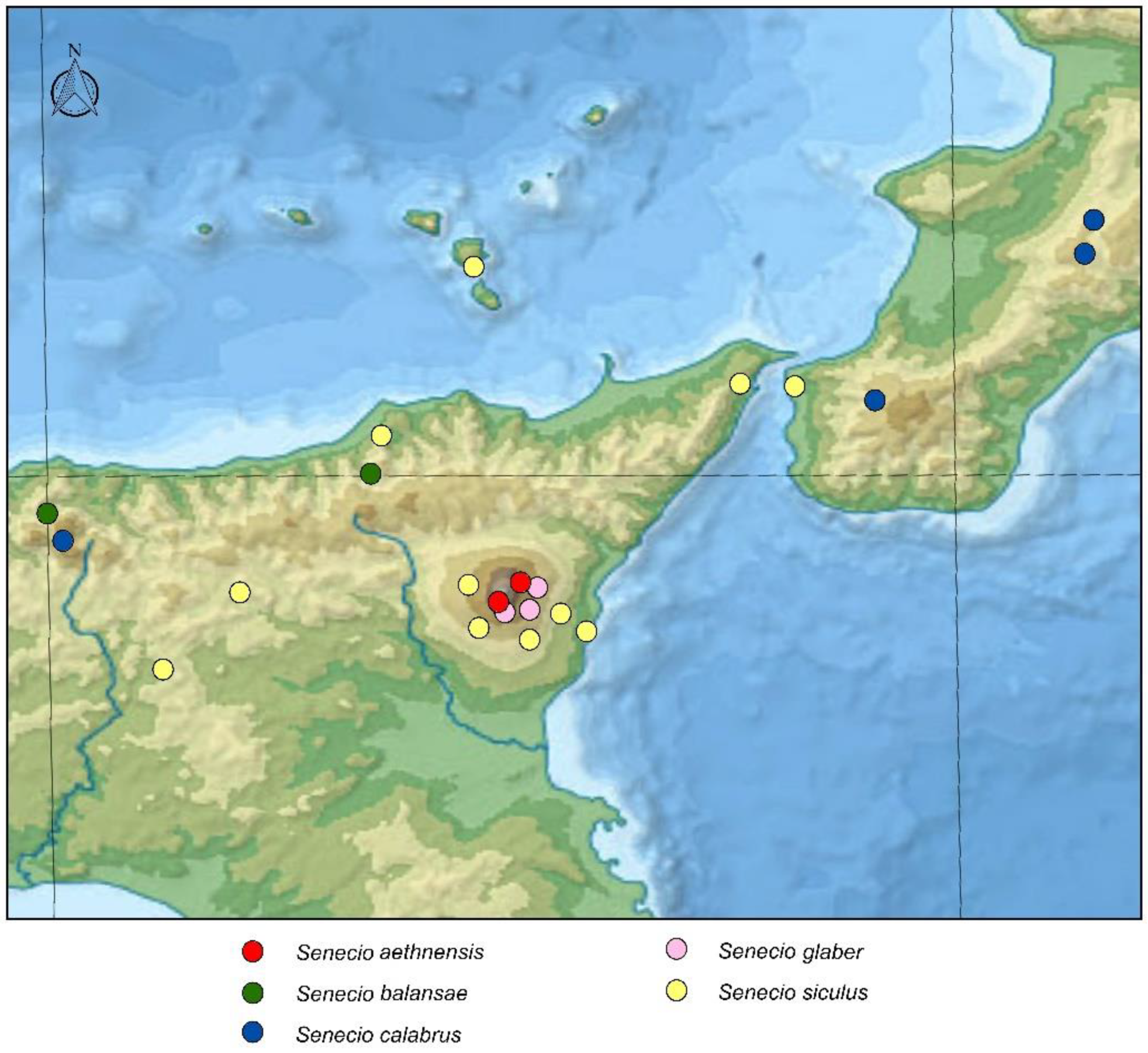 Plants 11 02597 g002