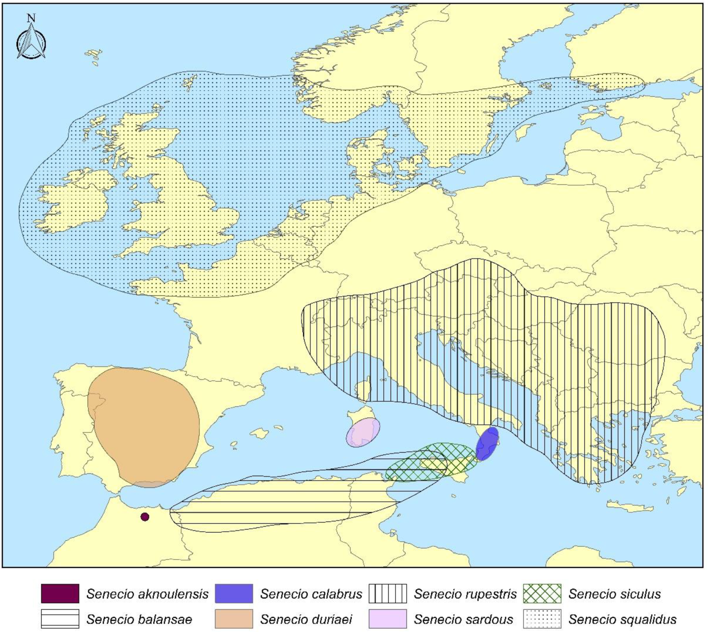 Plants 11 02597 g003