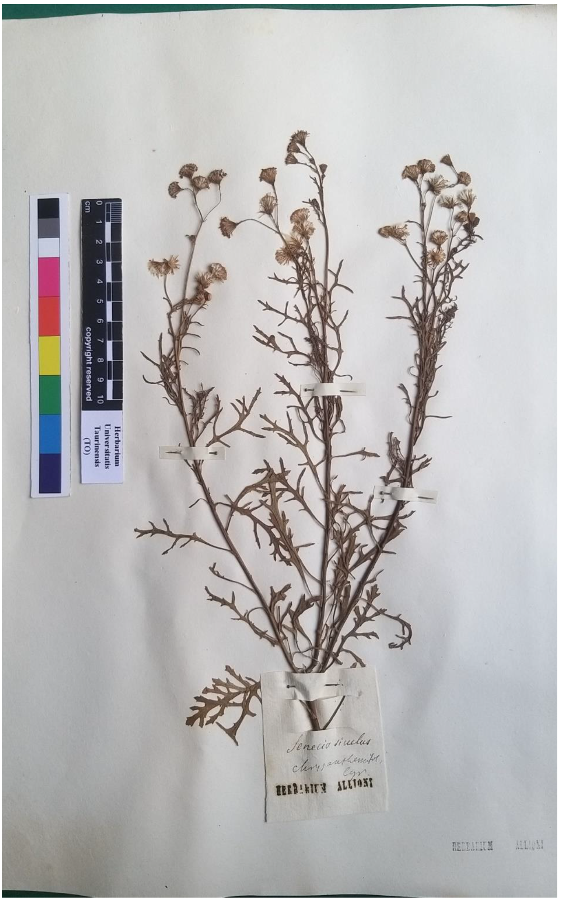 Plants 11 02597 g006