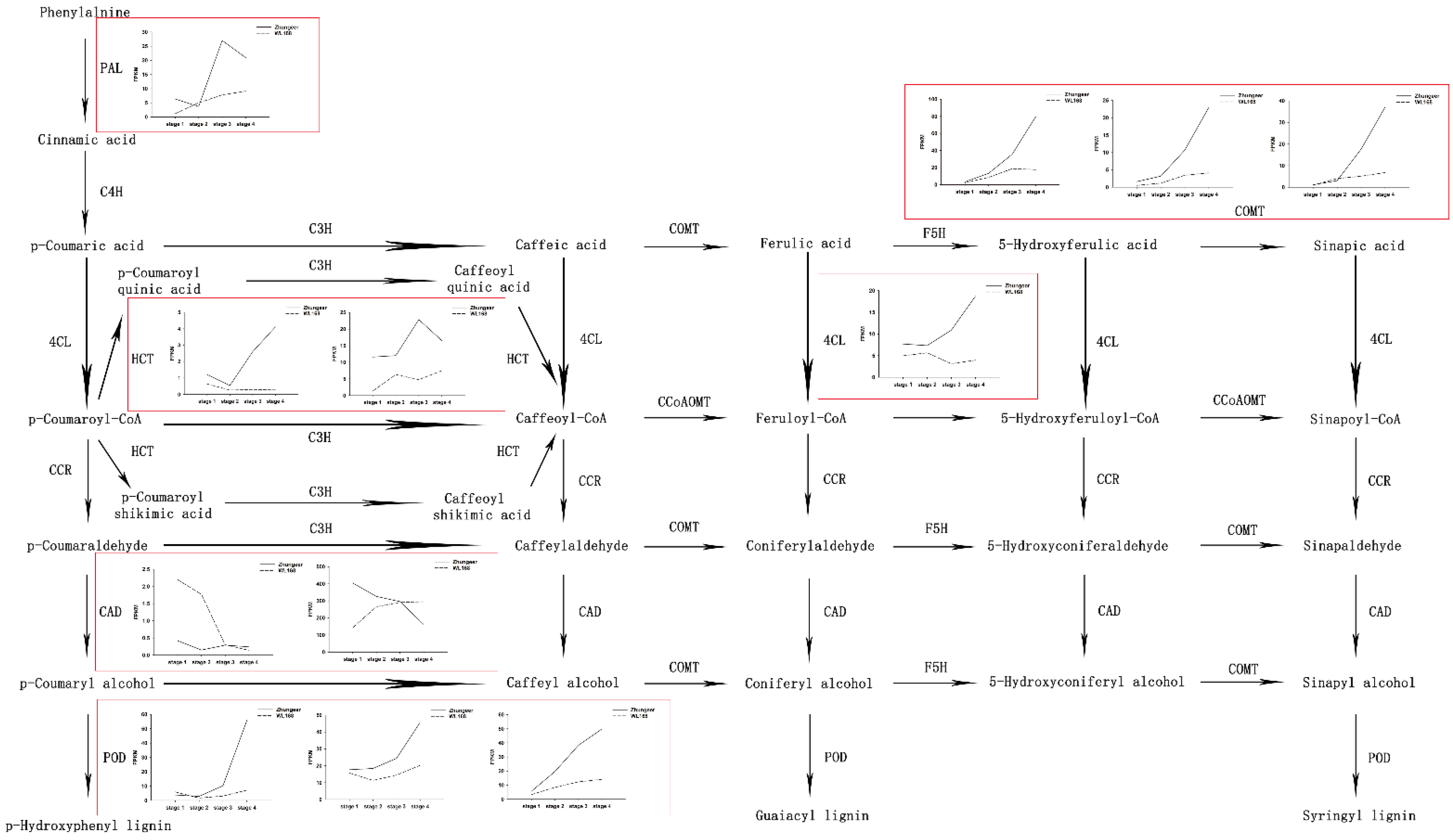 Plants 11 02601 g006 Plants 11 02601 g006