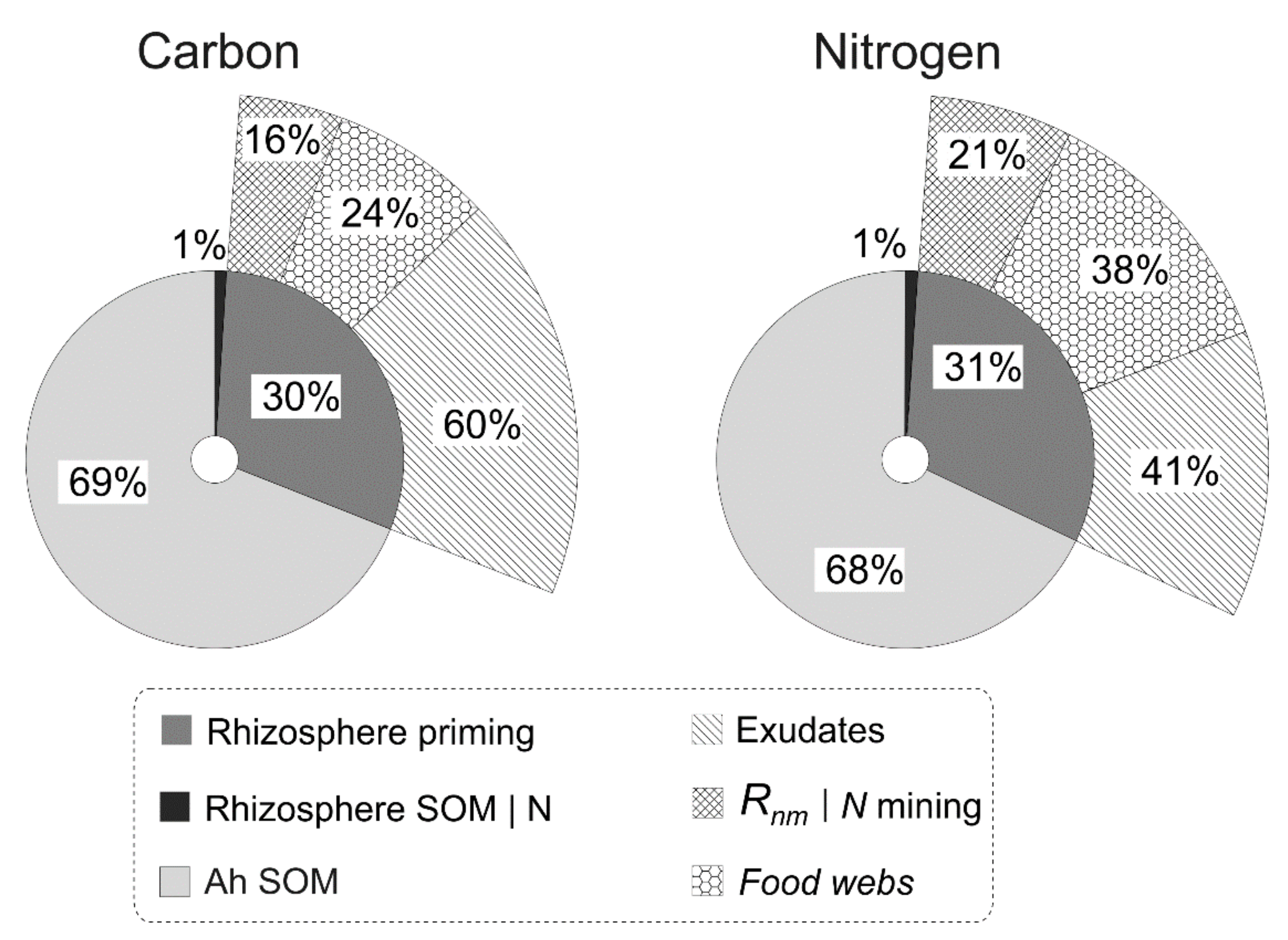 Plants 11 02605 g007 Plants 11 02605 g007