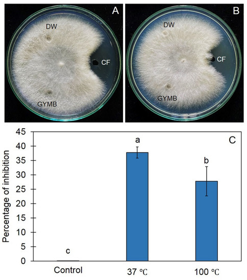 アップルページ A Rhizobacterium, Streptomyces albulus Z1-04-02, Displays