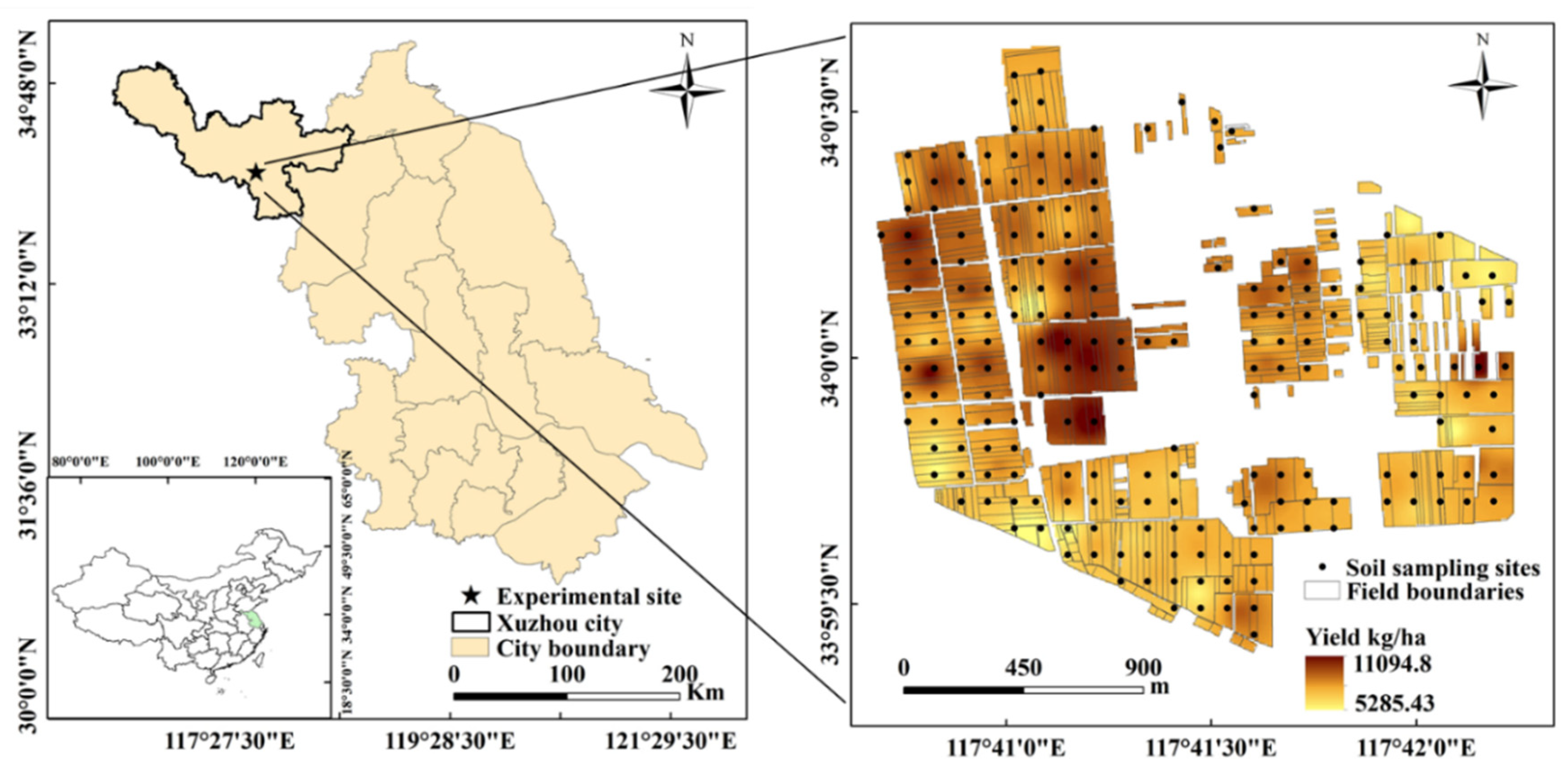 Plants 11 02611 g007 Plants 11 02611 g007