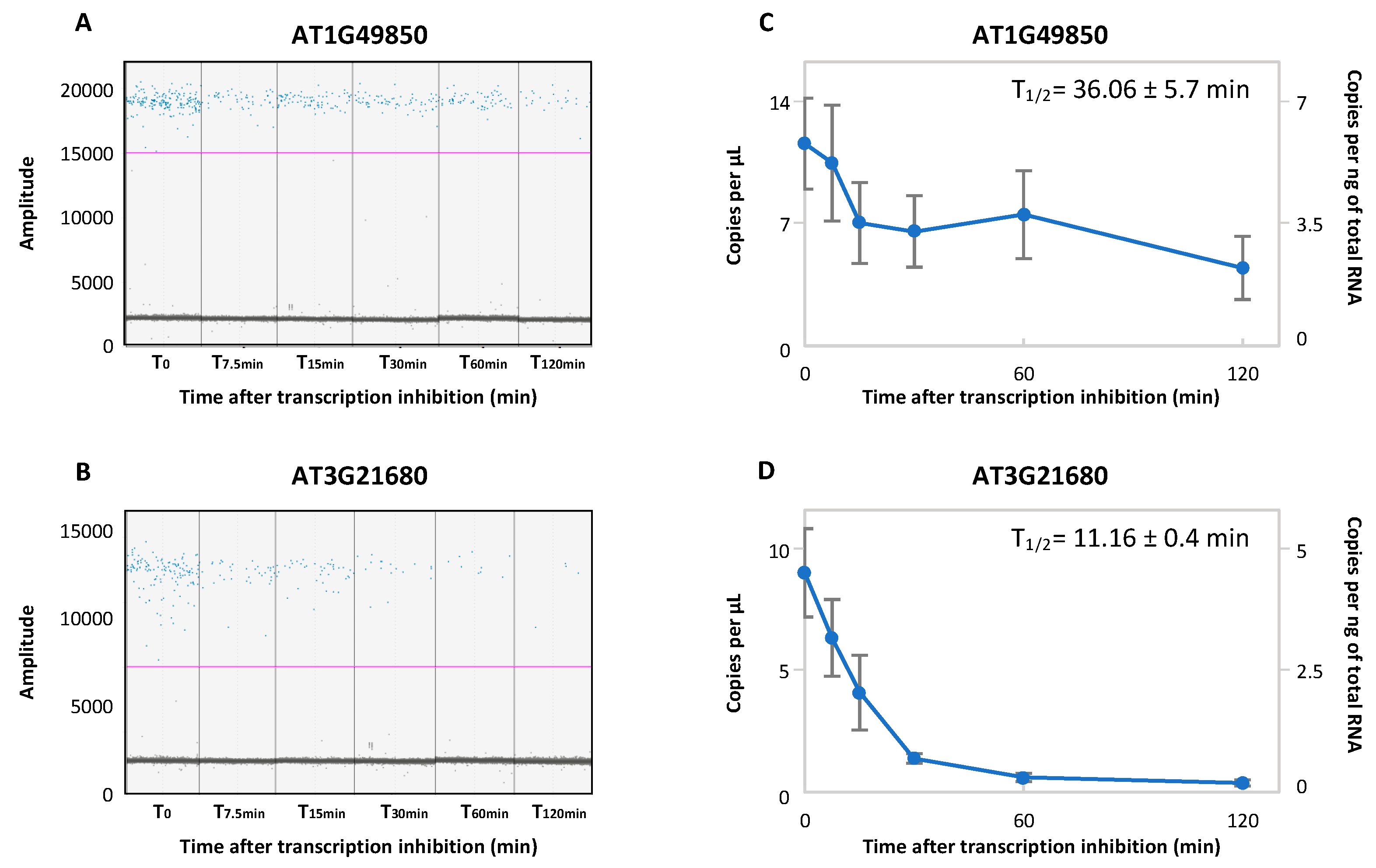 Plants 11 02616 g004 Plants 11 02616 g004